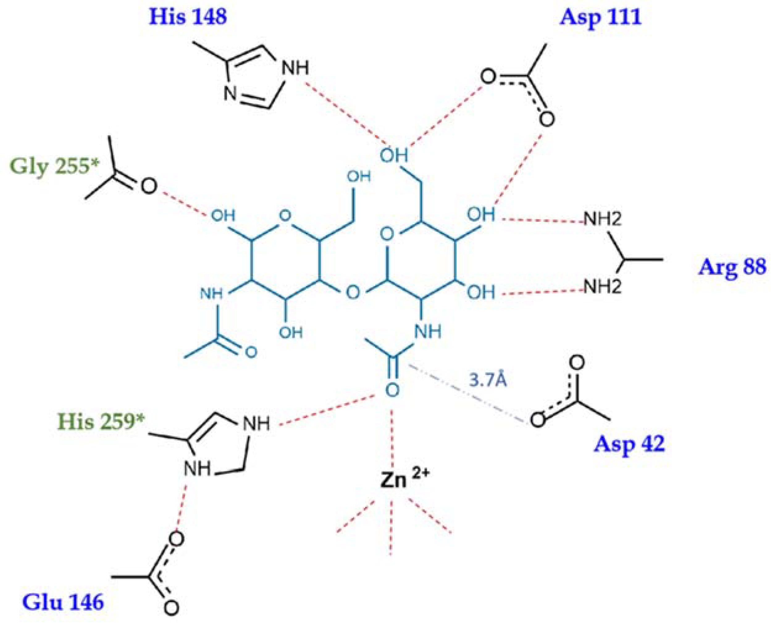 Ijms 23 15736 g006 Ijms 23 15736 g006