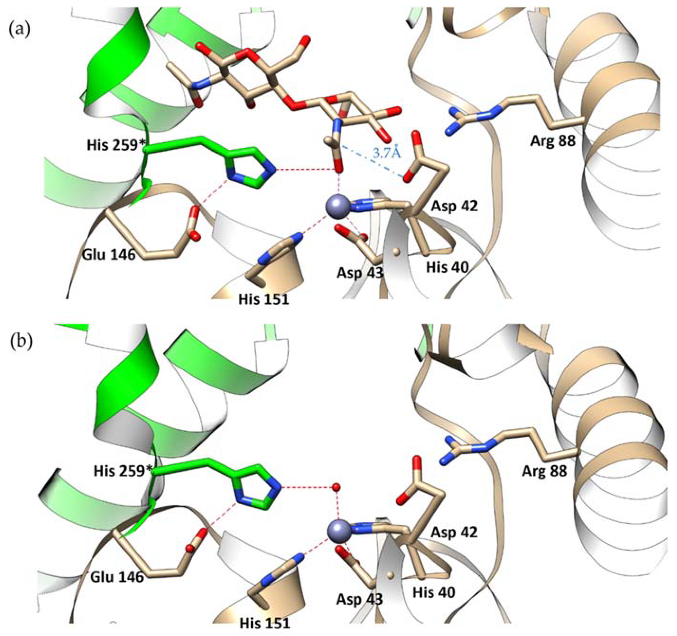 Ijms 23 15736 g007 Ijms 23 15736 g007
