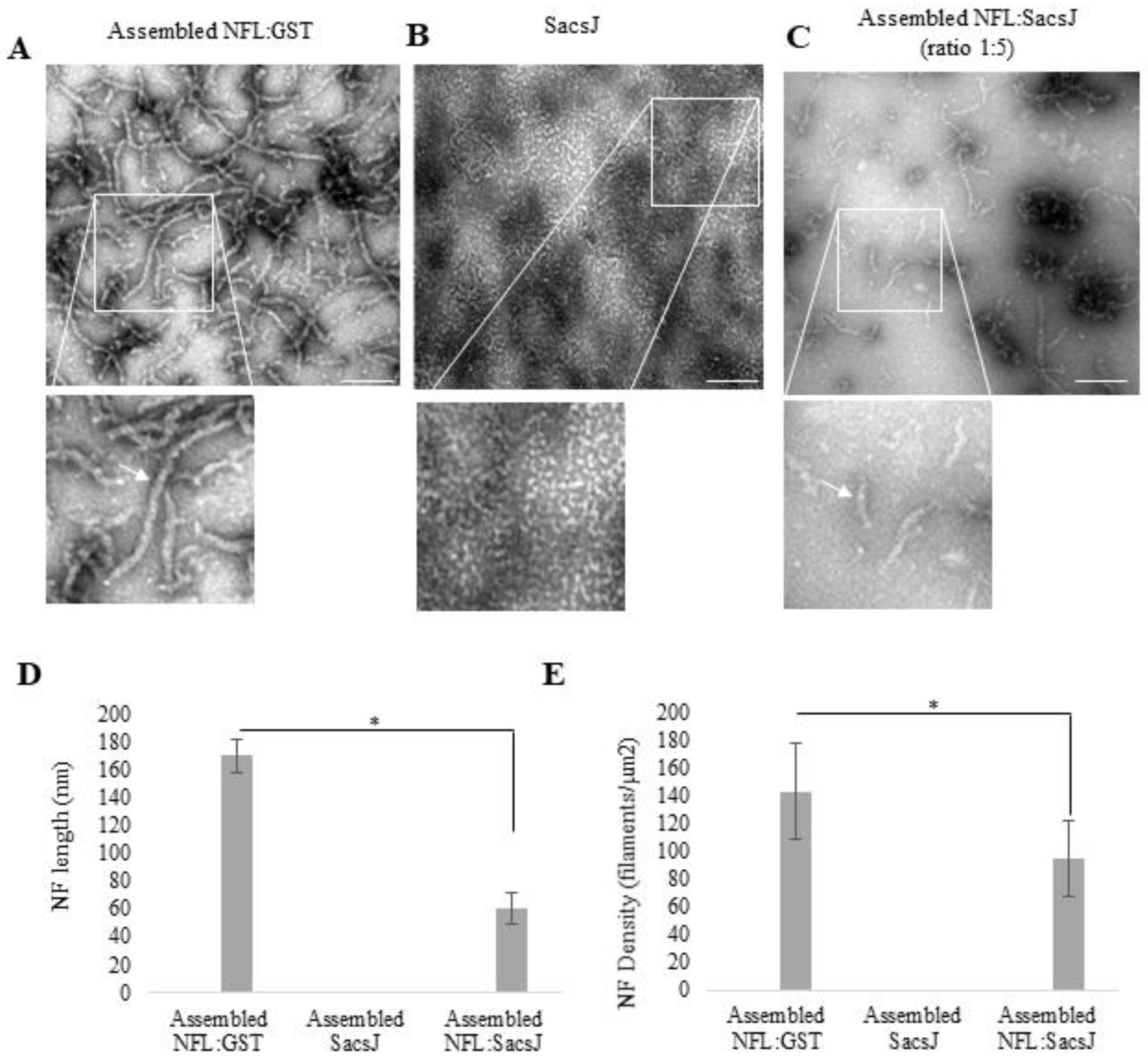 Ijms 23 15742 g001 Ijms 23 15742 g001