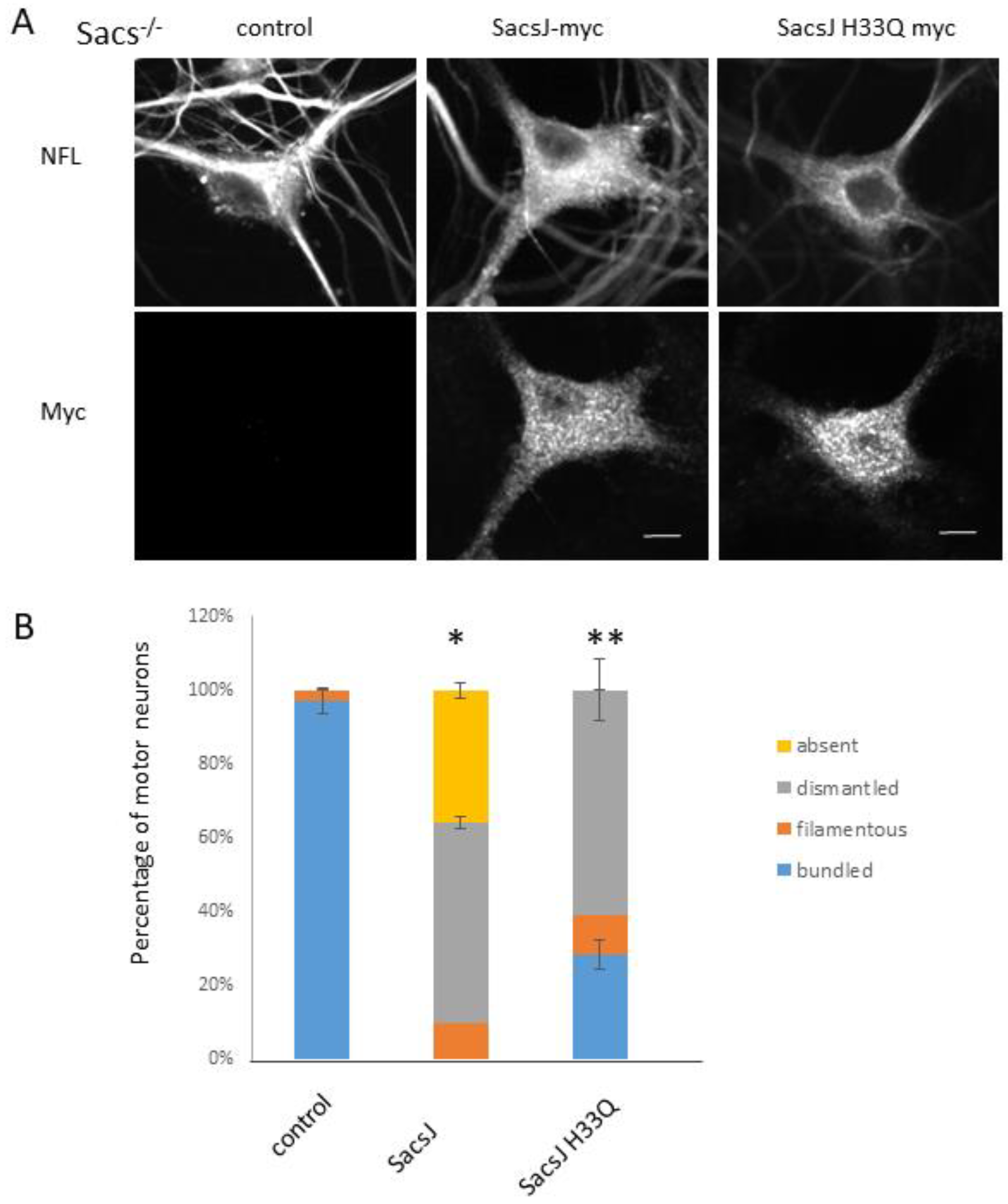 Ijms 23 15742 g009 Ijms 23 15742 g009