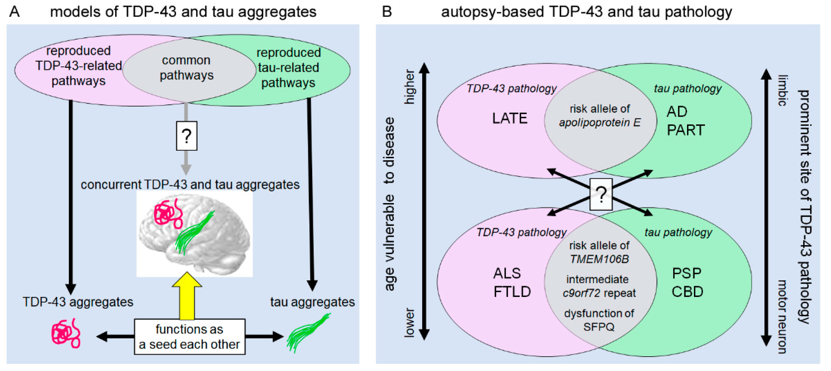 Ijms 23 15755 g005 Ijms 23 15755 g005