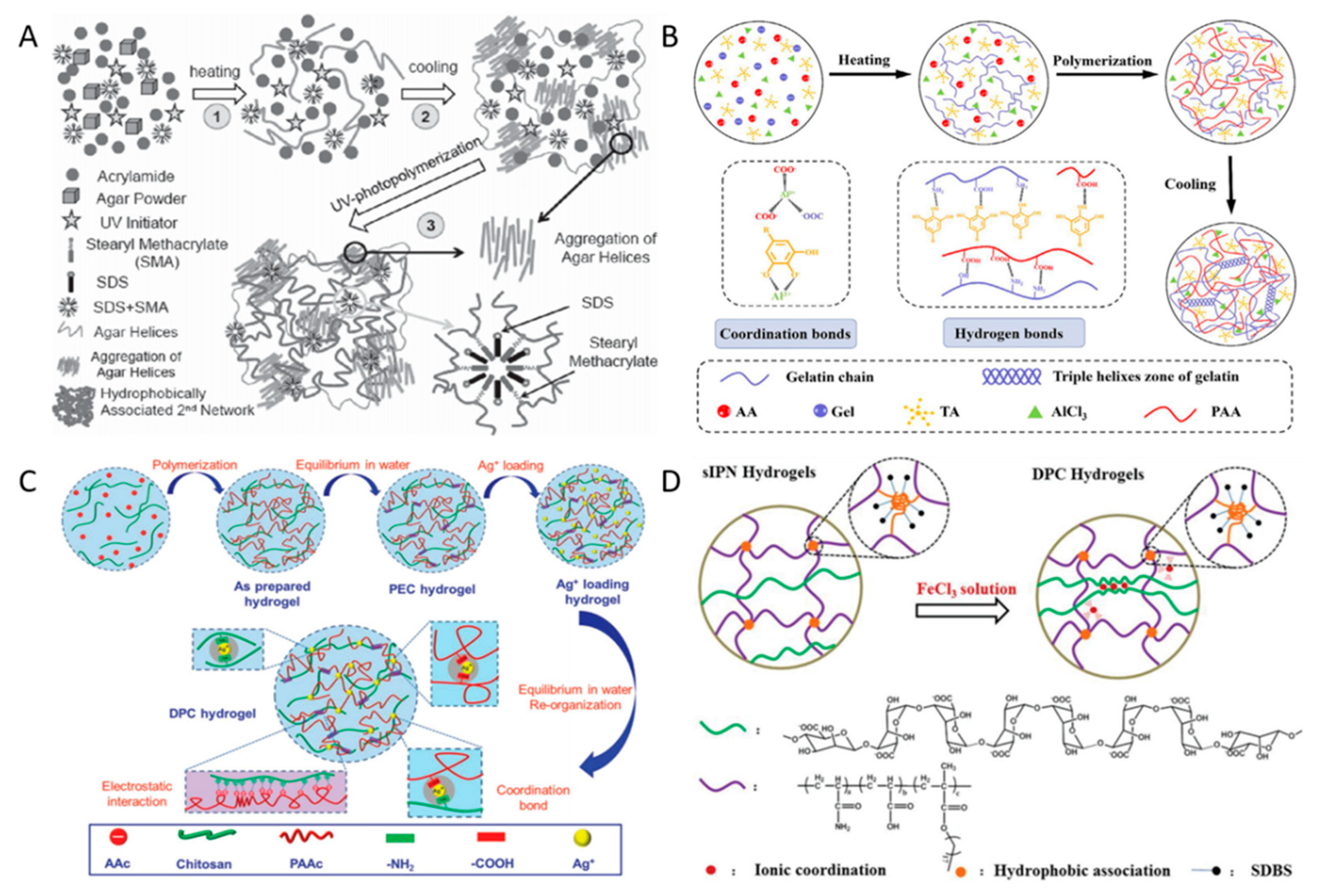 Ijms 23 15757 g002 Ijms 23 15757 g002