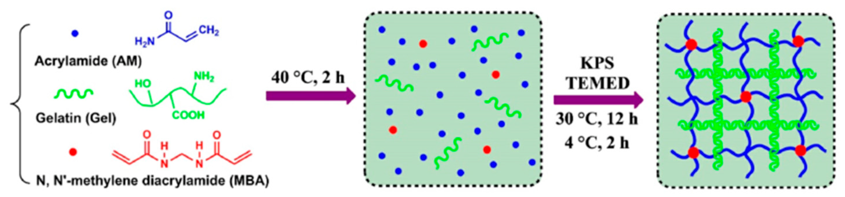 Ijms 23 15757 g004 Ijms 23 15757 g004