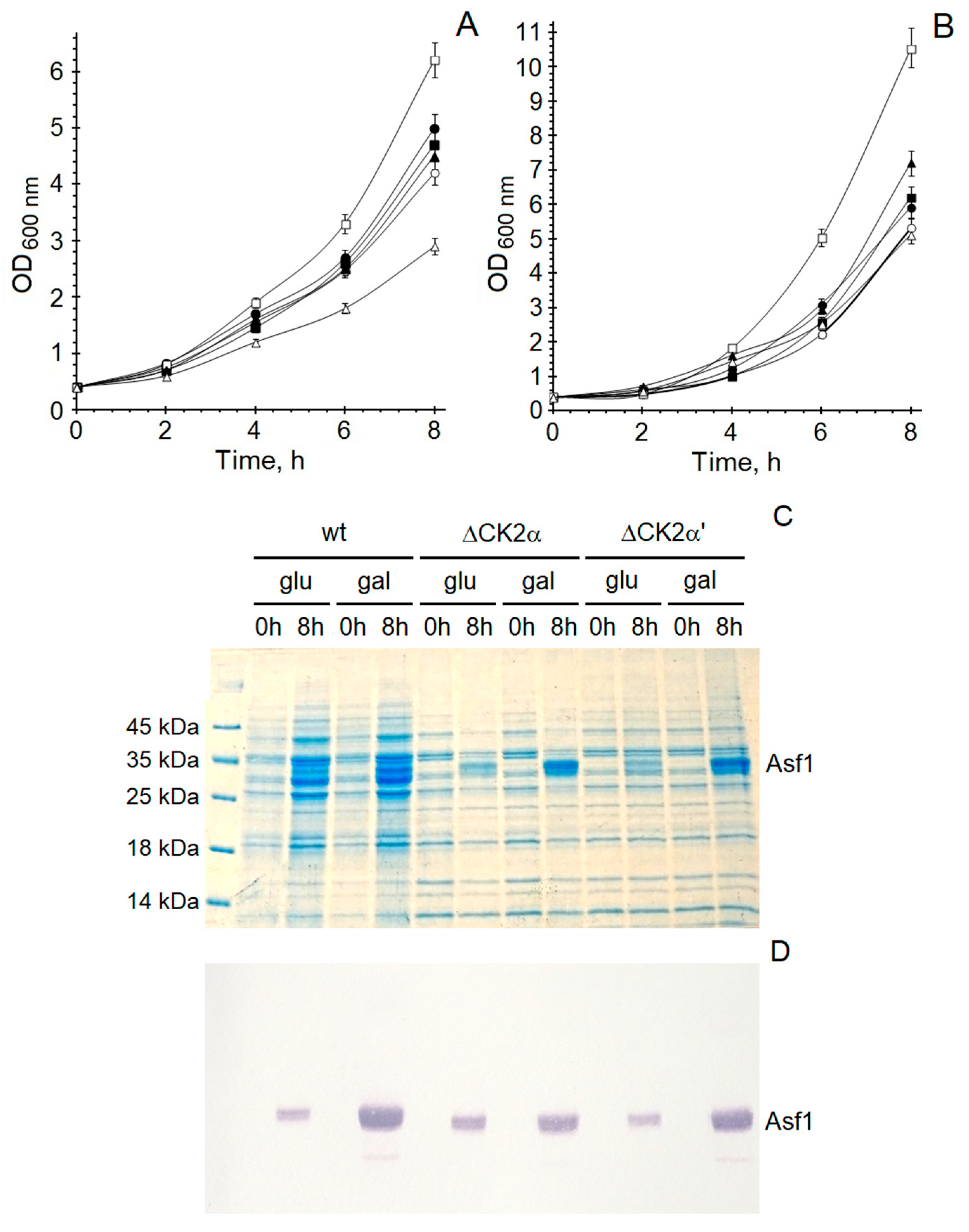Ijms 23 15764 g008 Ijms 23 15764 g008
