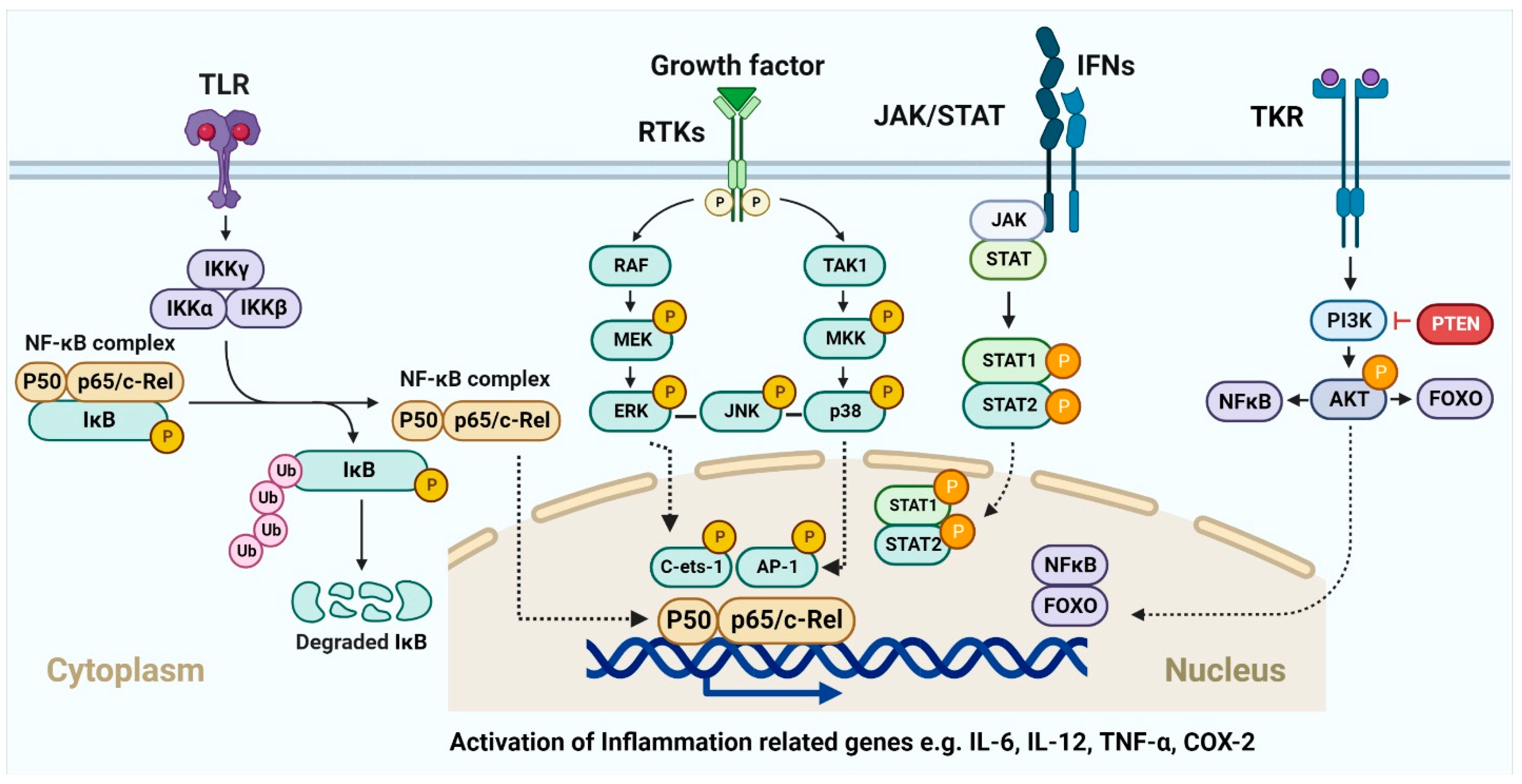 Ijms 23 15765 g005 Ijms 23 15765 g005