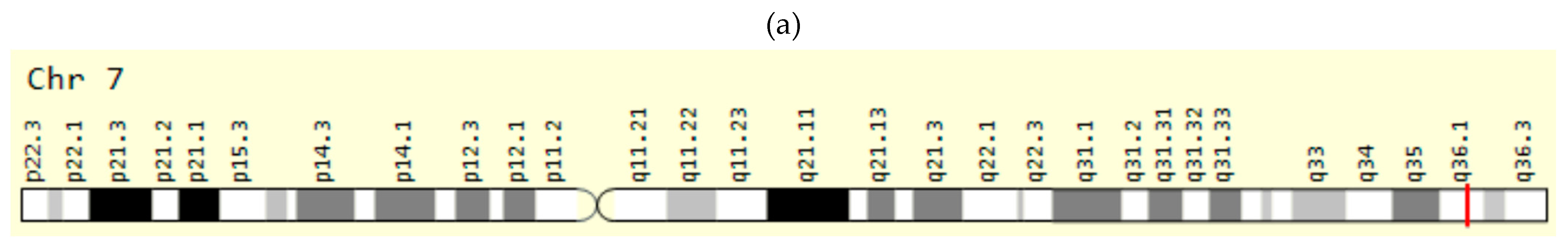 Ijms 23 15786 g002a Ijms 23 15786 g002a