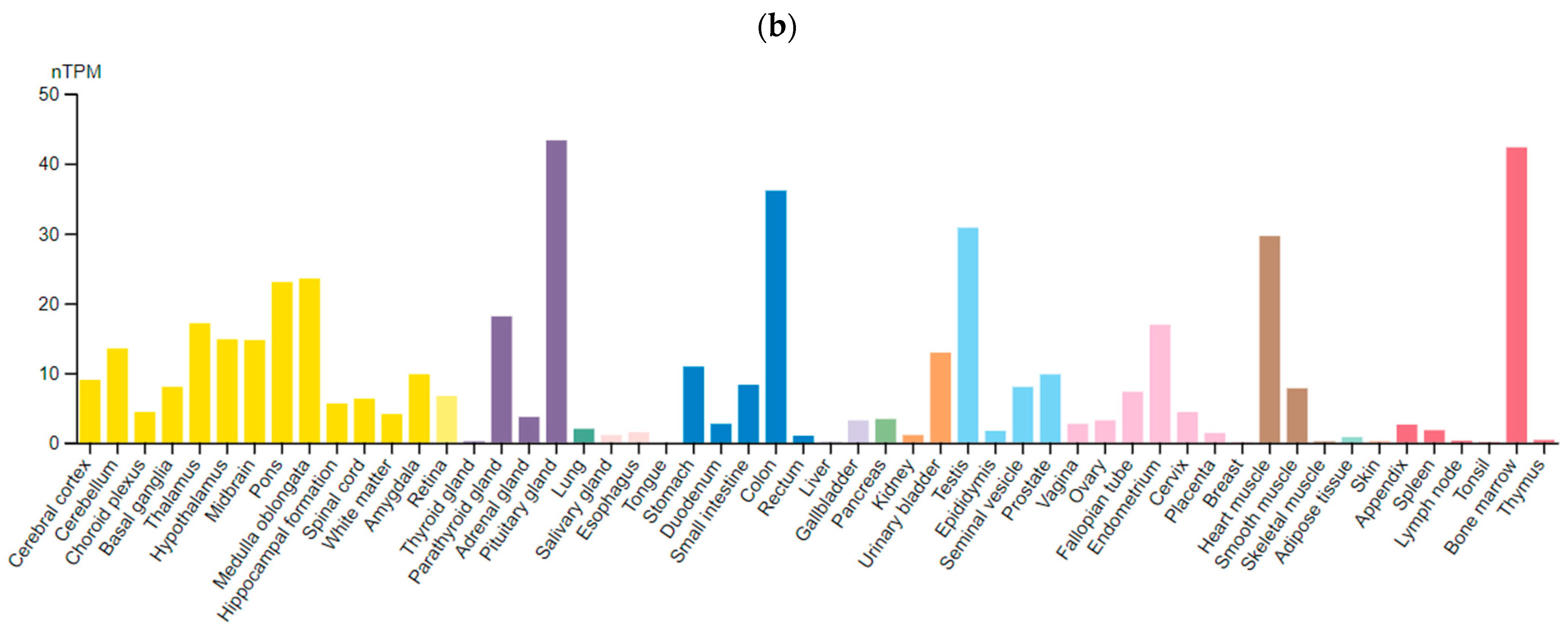 Ijms 23 15786 g002b Ijms 23 15786 g002b