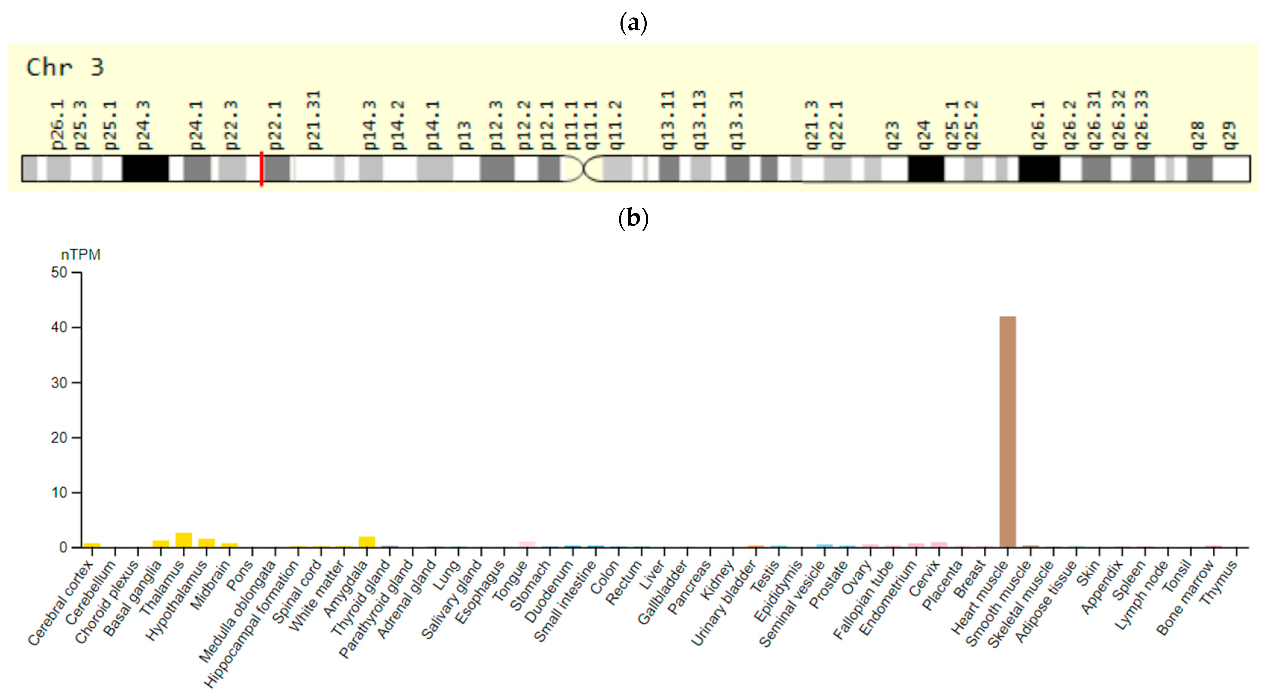 Ijms 23 15786 g003 Ijms 23 15786 g003