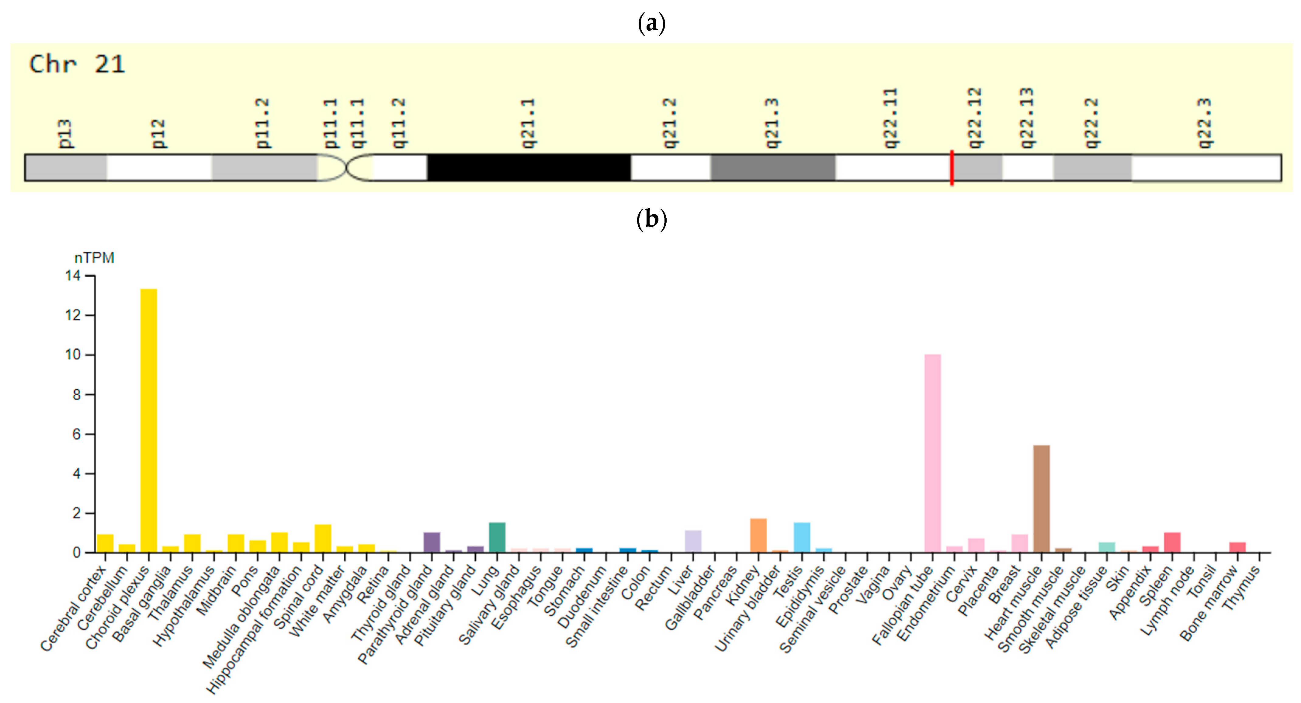 Ijms 23 15786 g004 Ijms 23 15786 g004