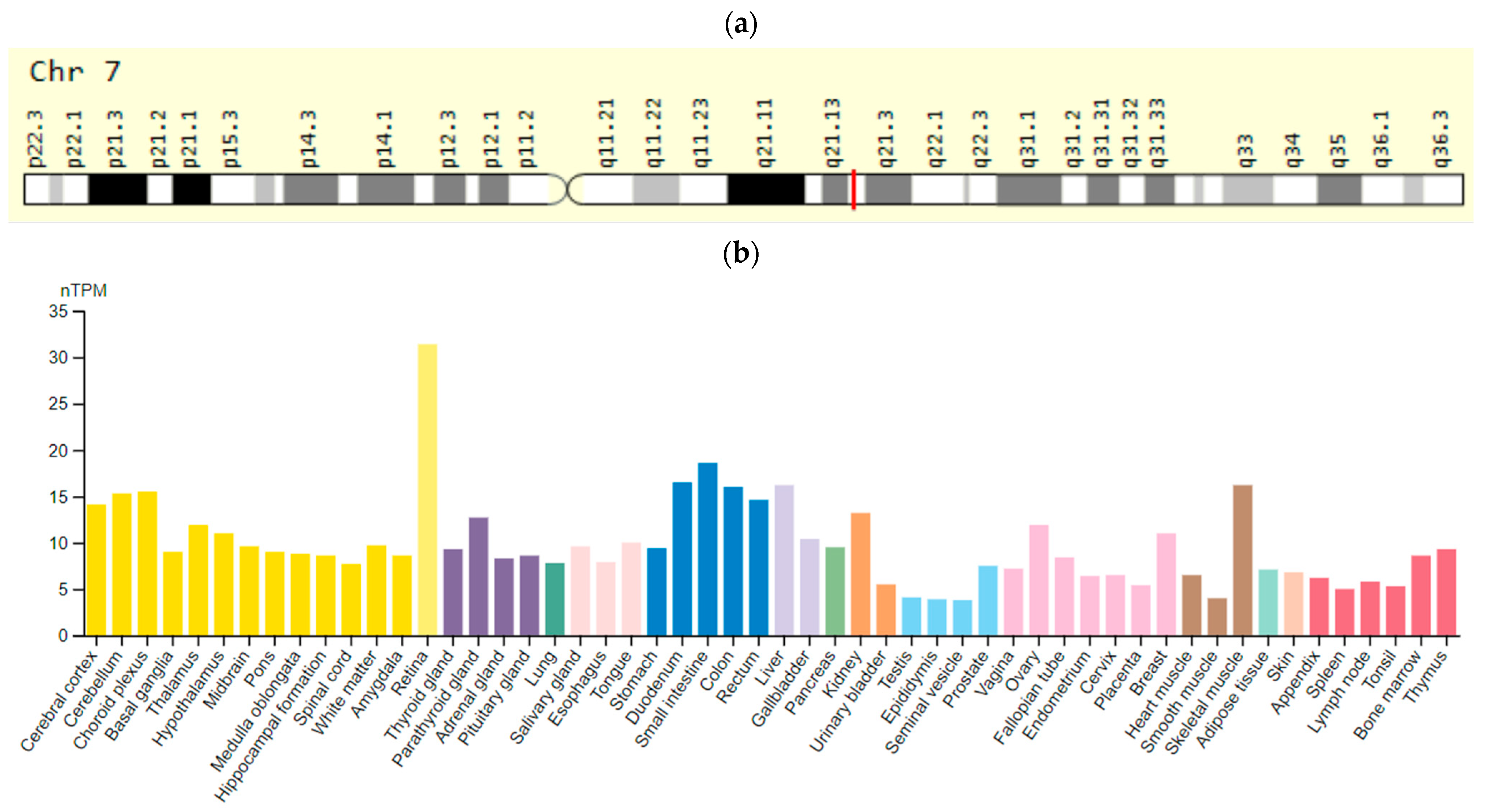 Ijms 23 15786 g005 Ijms 23 15786 g005