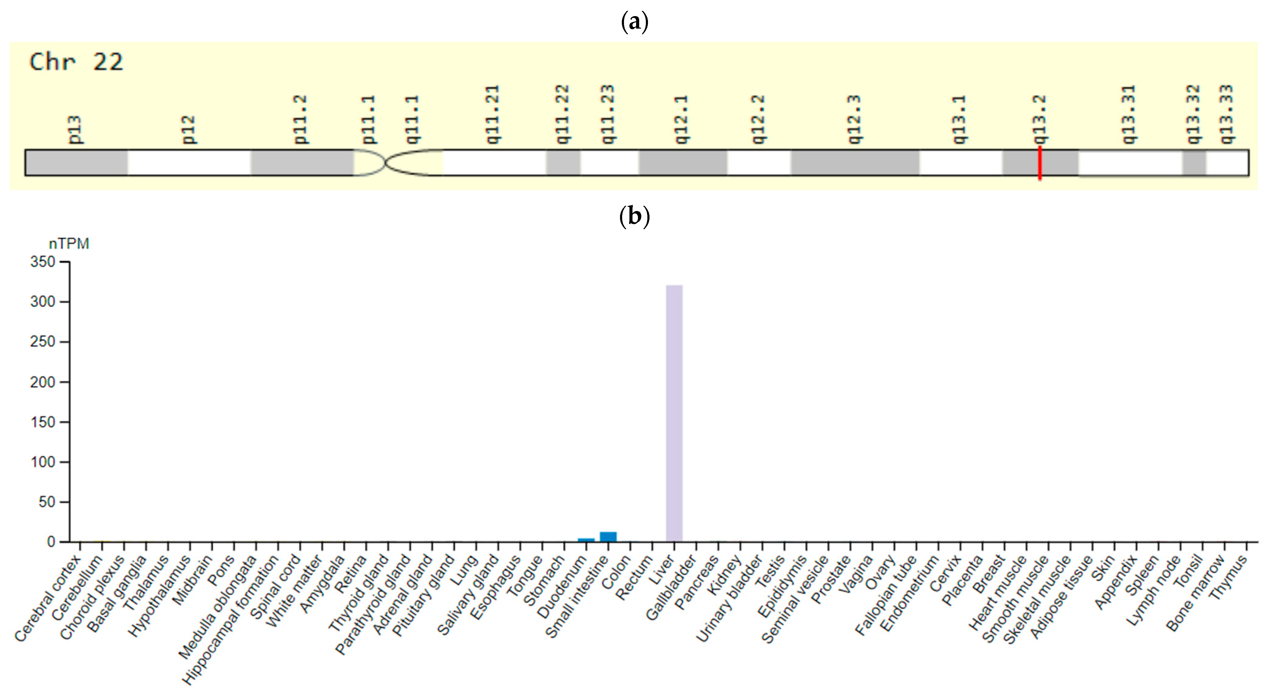 Ijms 23 15786 g007 Ijms 23 15786 g007