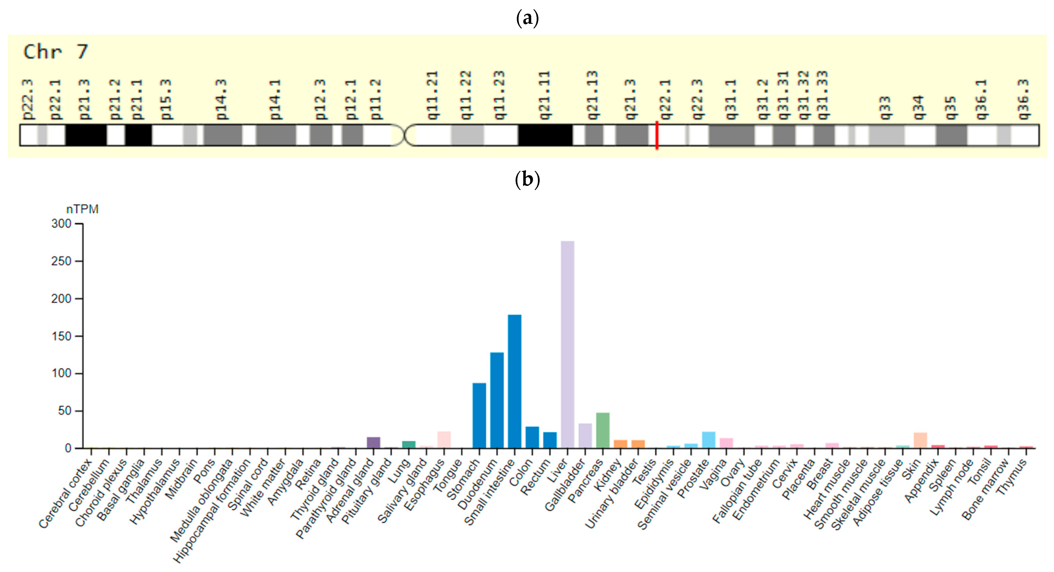 Ijms 23 15786 g008 Ijms 23 15786 g008