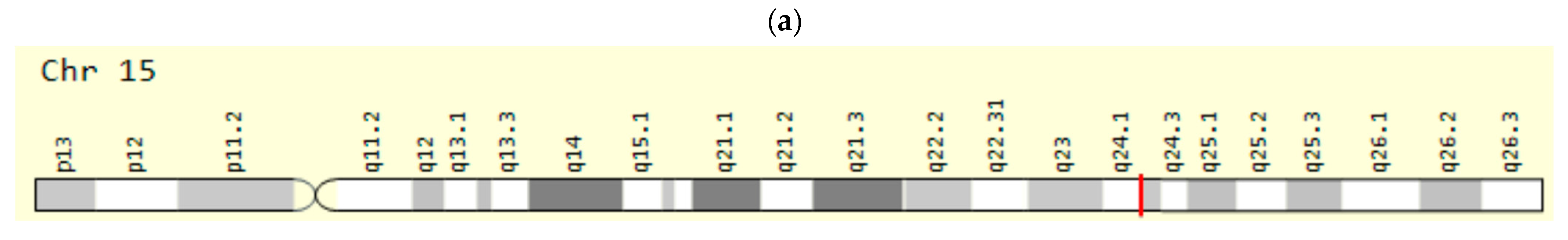 Ijms 23 15786 g009a Ijms 23 15786 g009a