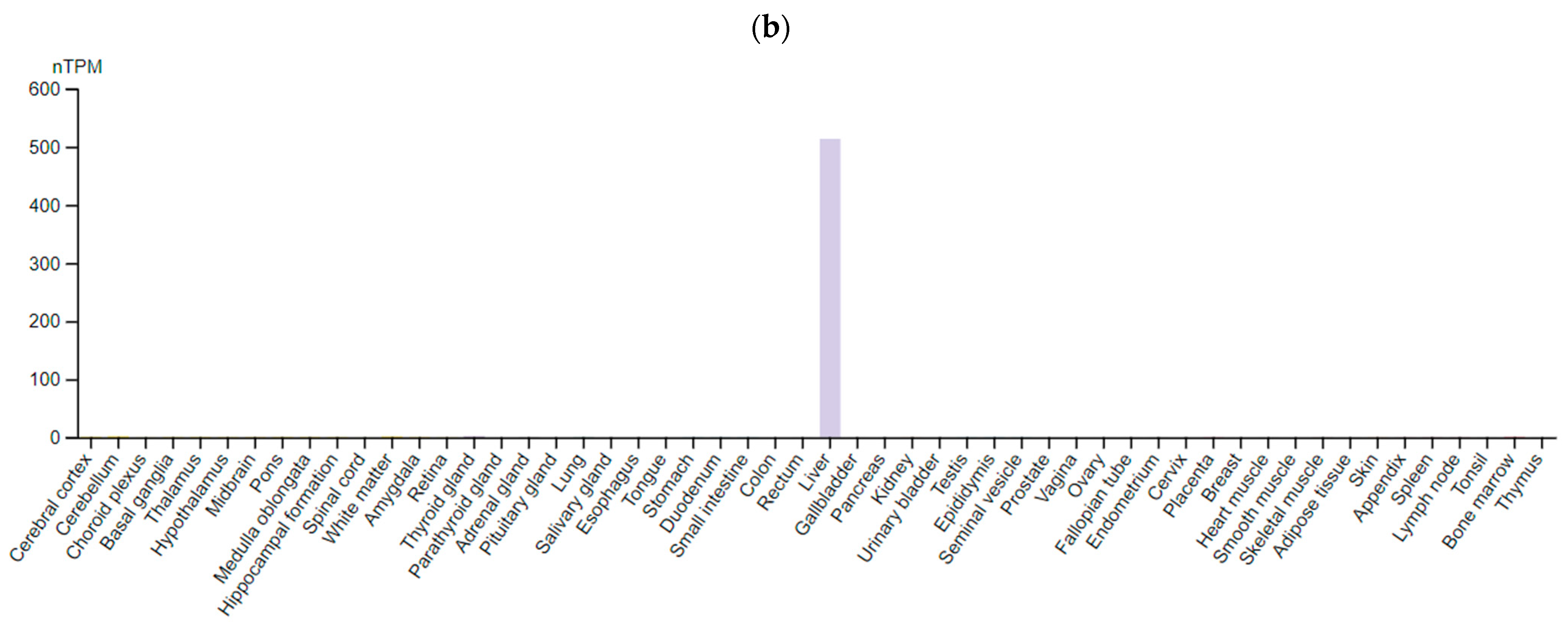 Ijms 23 15786 g009b Ijms 23 15786 g009b