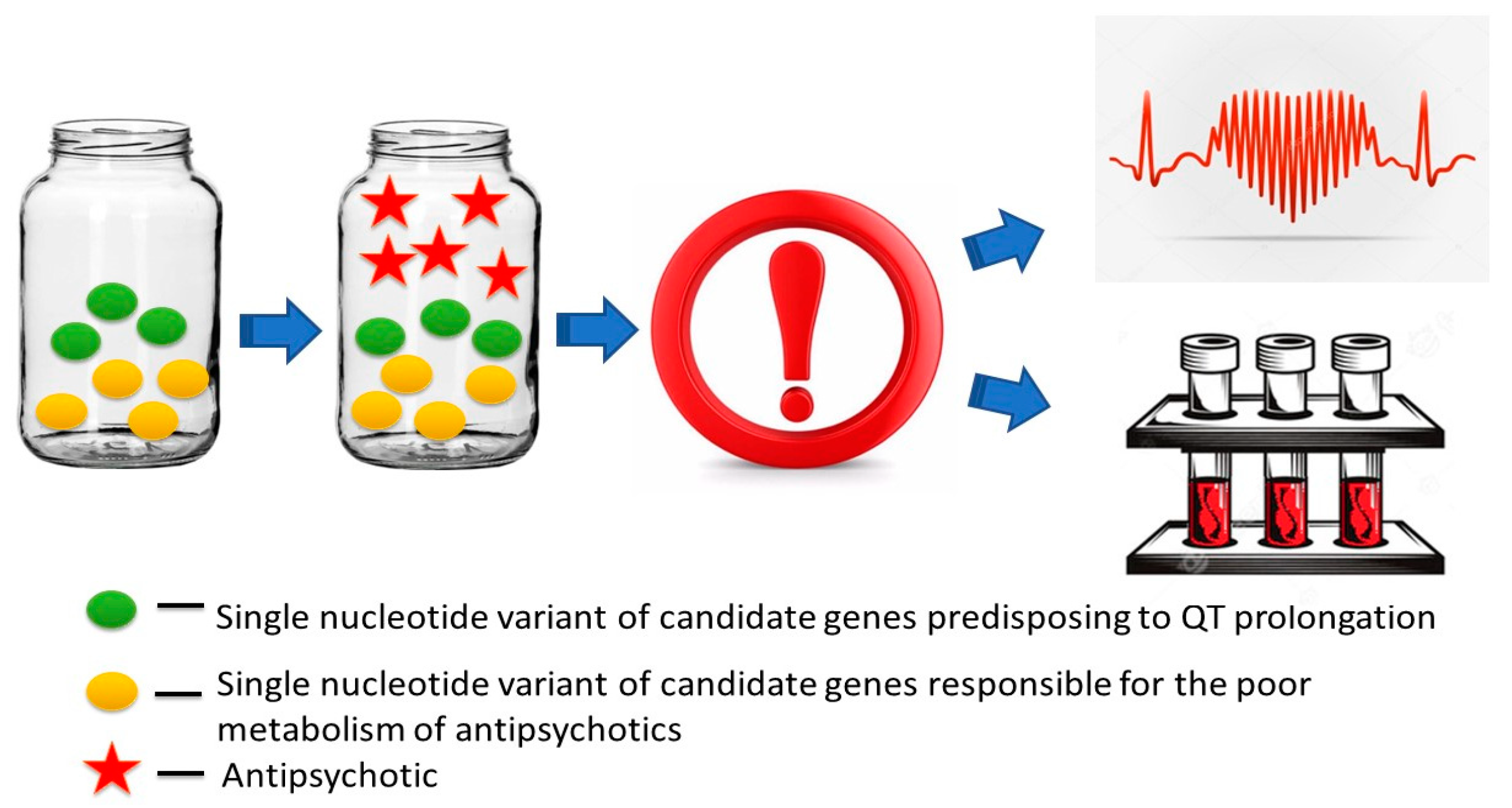 Ijms 23 15786 g011 Ijms 23 15786 g011