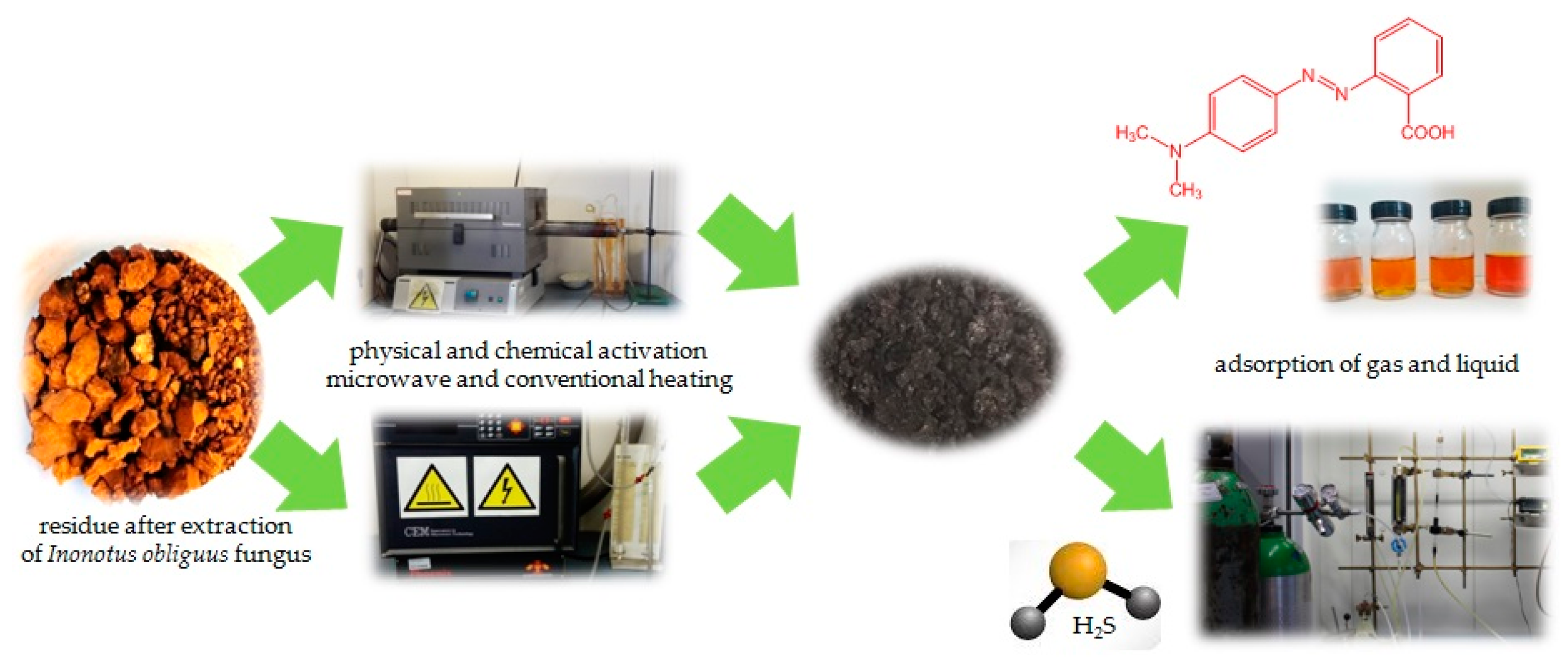 Ijms 23 15788 g001 Ijms 23 15788 g001