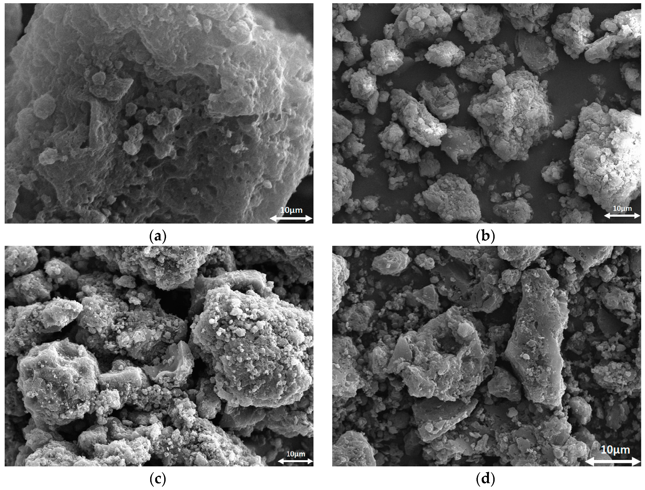 Ijms 23 15788 g002 Ijms 23 15788 g002