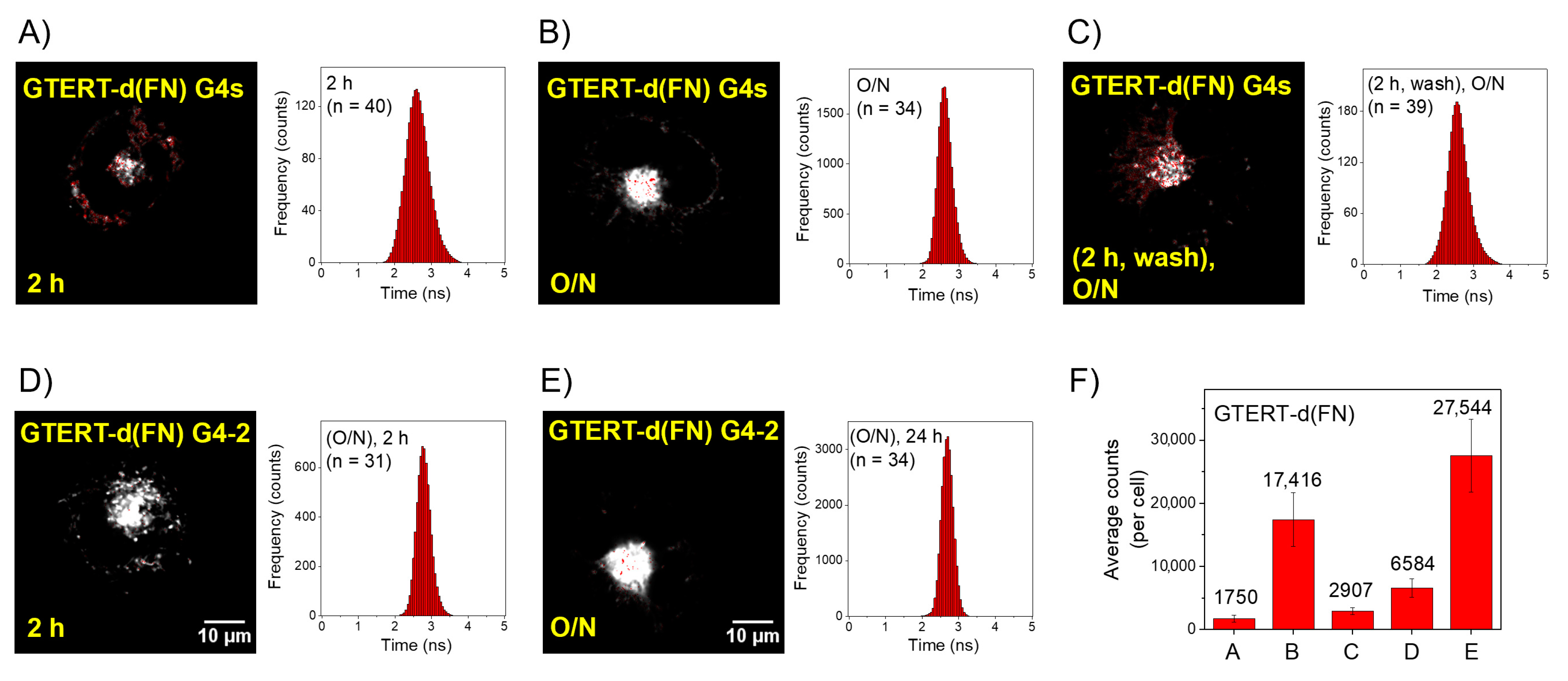 Ijms 23 15799 g002 Ijms 23 15799 g002