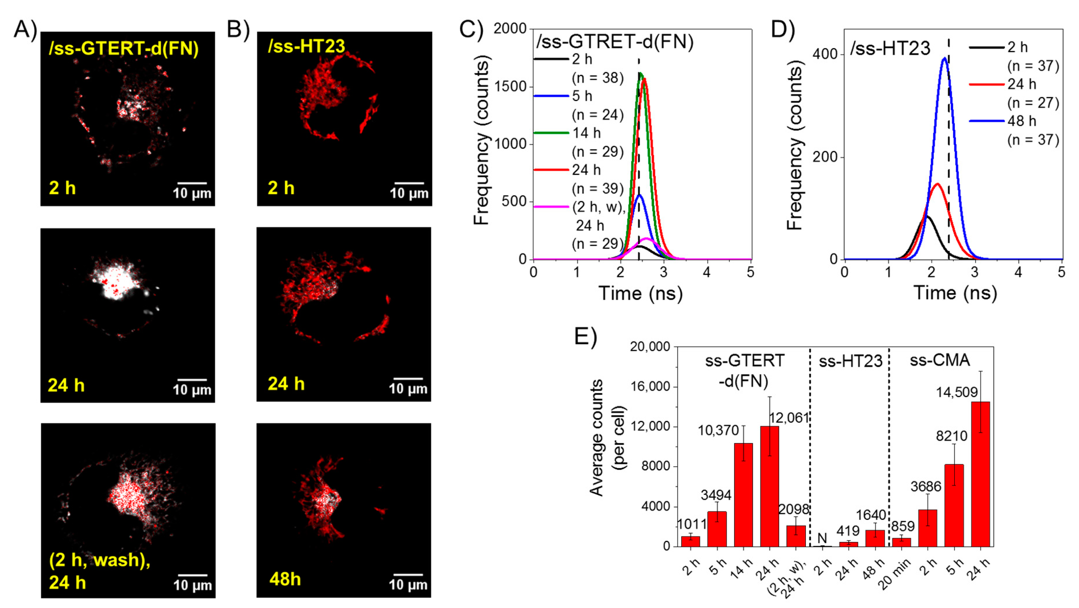 Ijms 23 15799 g004 Ijms 23 15799 g004