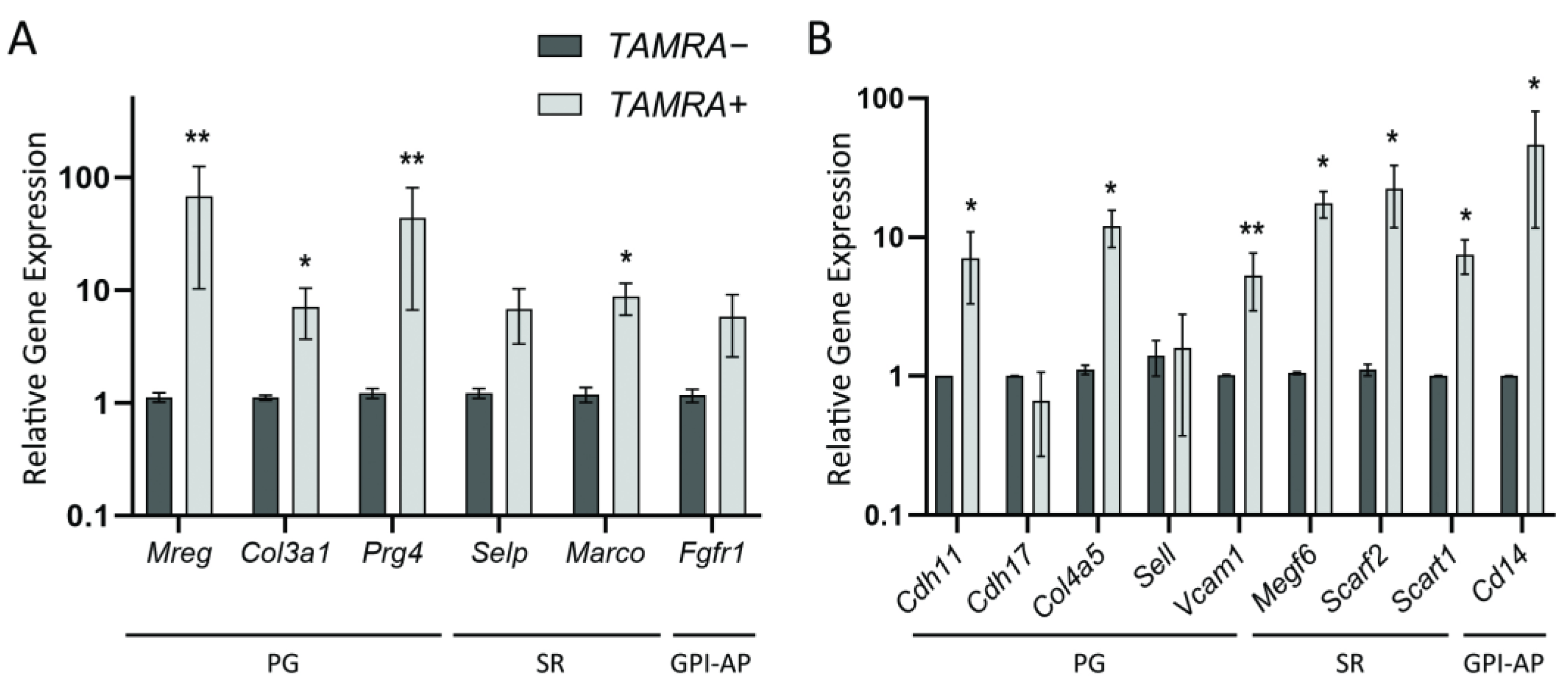 Ijms 23 15800 g002 Ijms 23 15800 g002