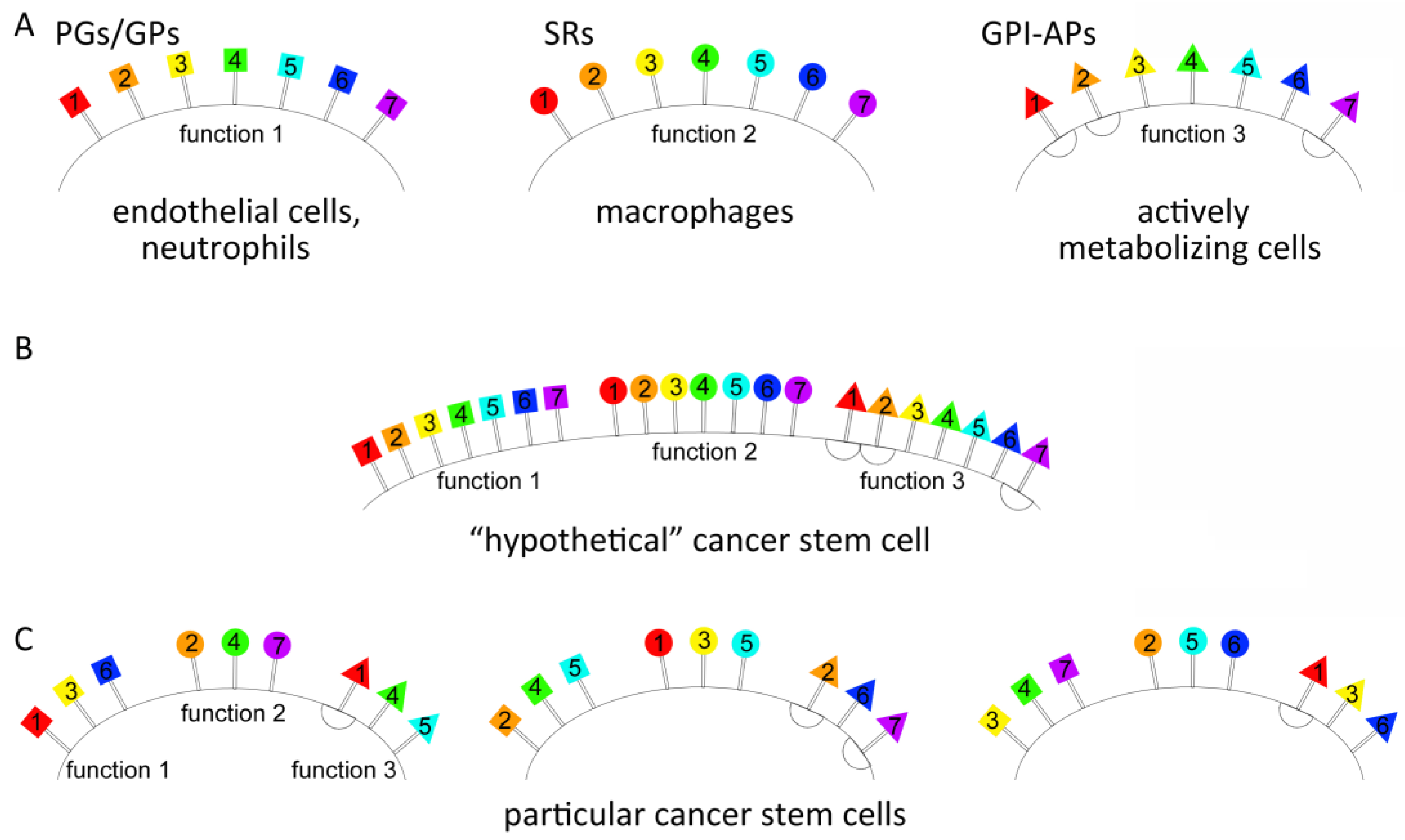 Ijms 23 15800 g003 Ijms 23 15800 g003