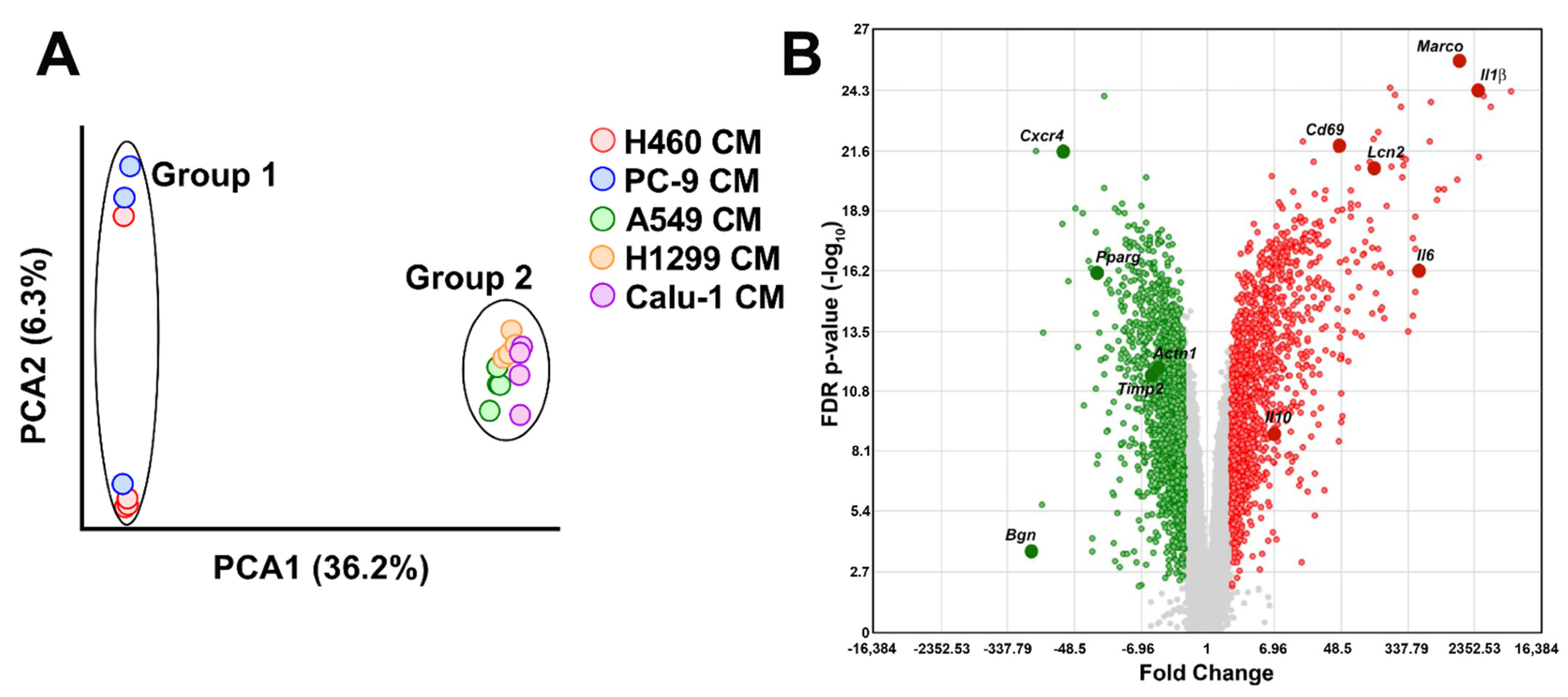 Ijms 23 15802 g001 Ijms 23 15802 g001