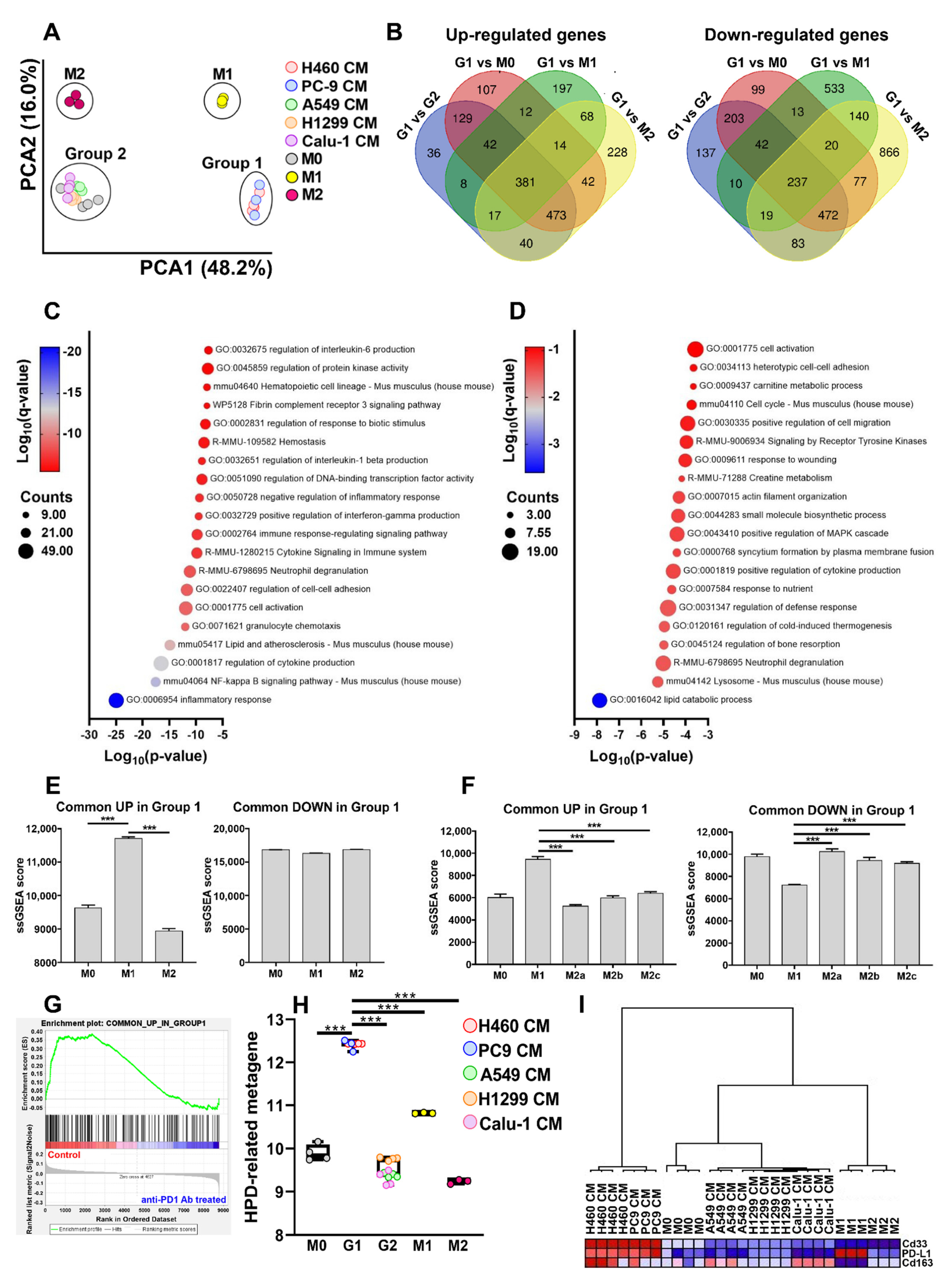 Ijms 23 15802 g005 Ijms 23 15802 g005