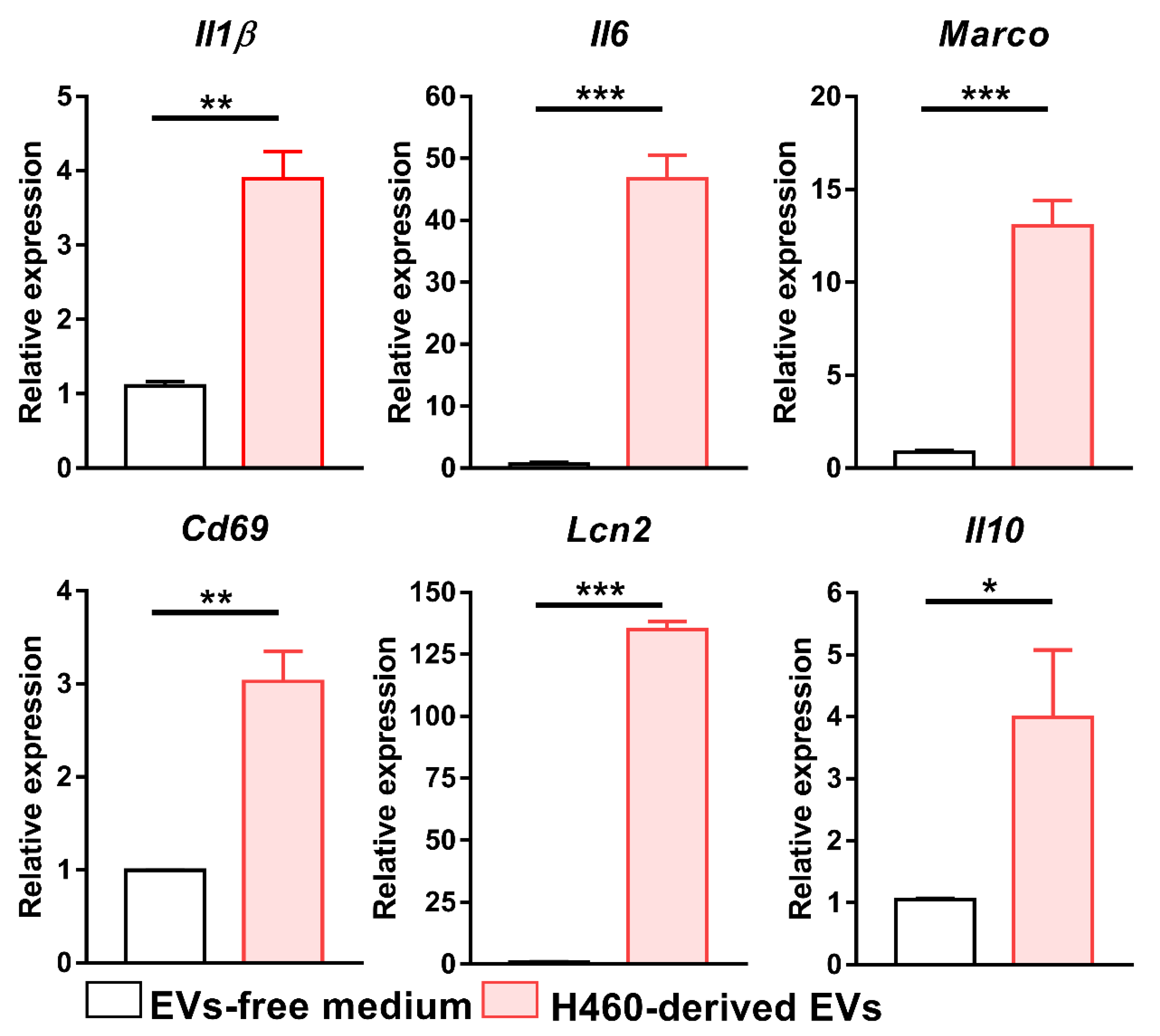 Ijms 23 15802 g008 Ijms 23 15802 g008