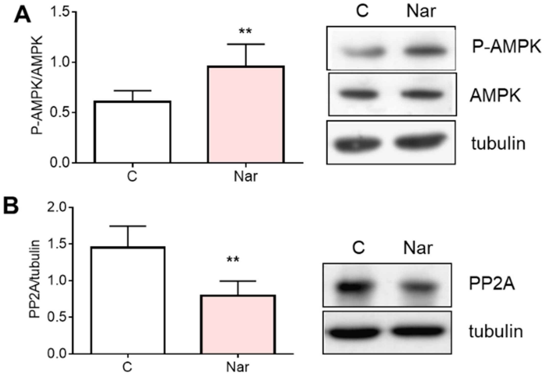 Ijms 23 15809 g002 Ijms 23 15809 g002