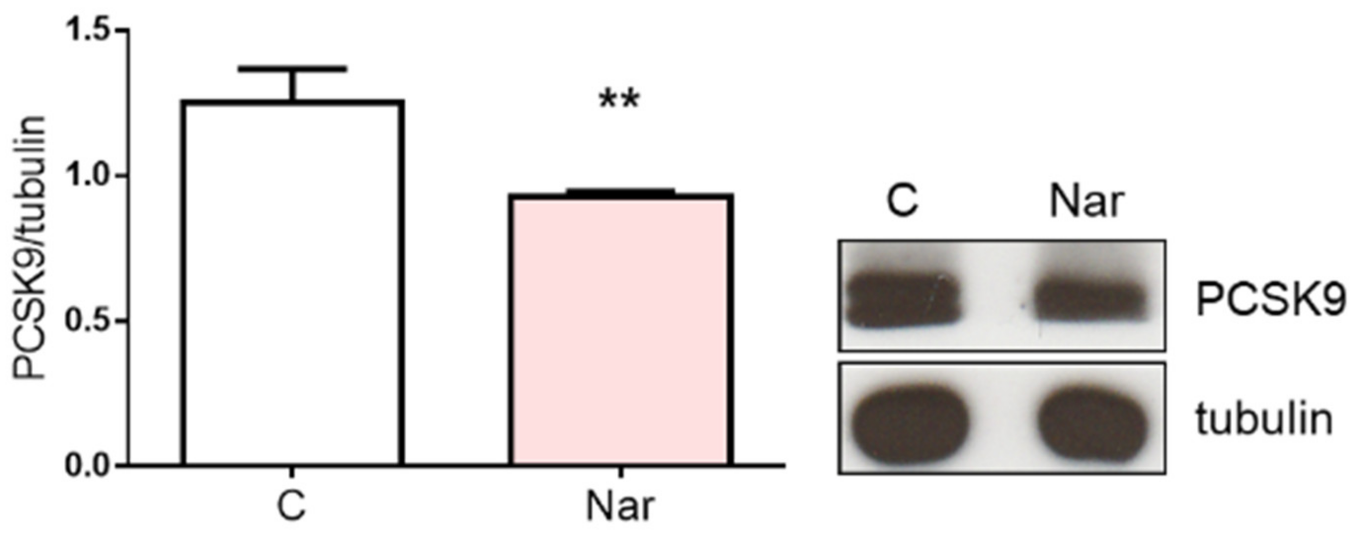 Ijms 23 15809 g004 Ijms 23 15809 g004