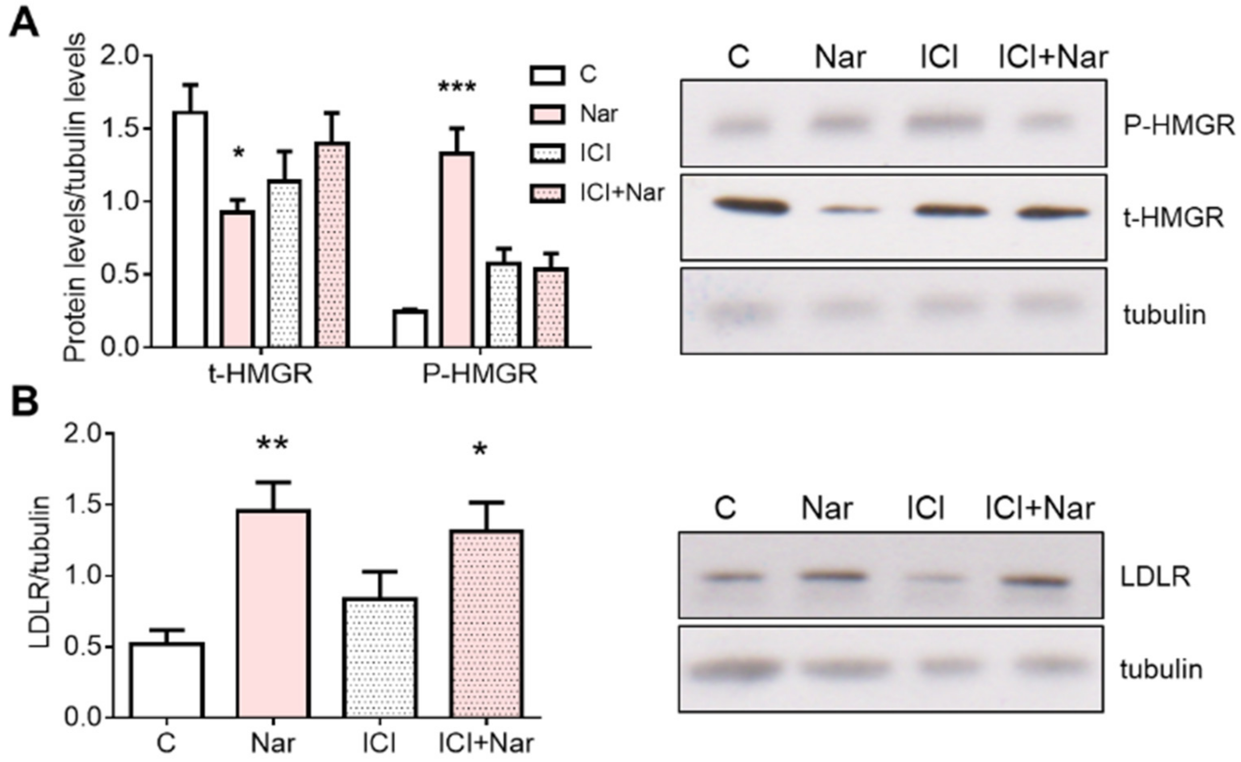 Ijms 23 15809 g005 Ijms 23 15809 g005