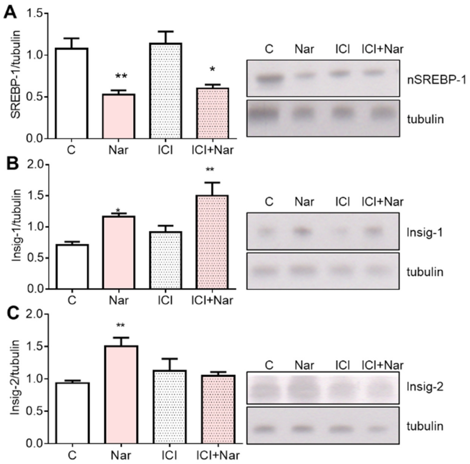 Ijms 23 15809 g008 Ijms 23 15809 g008