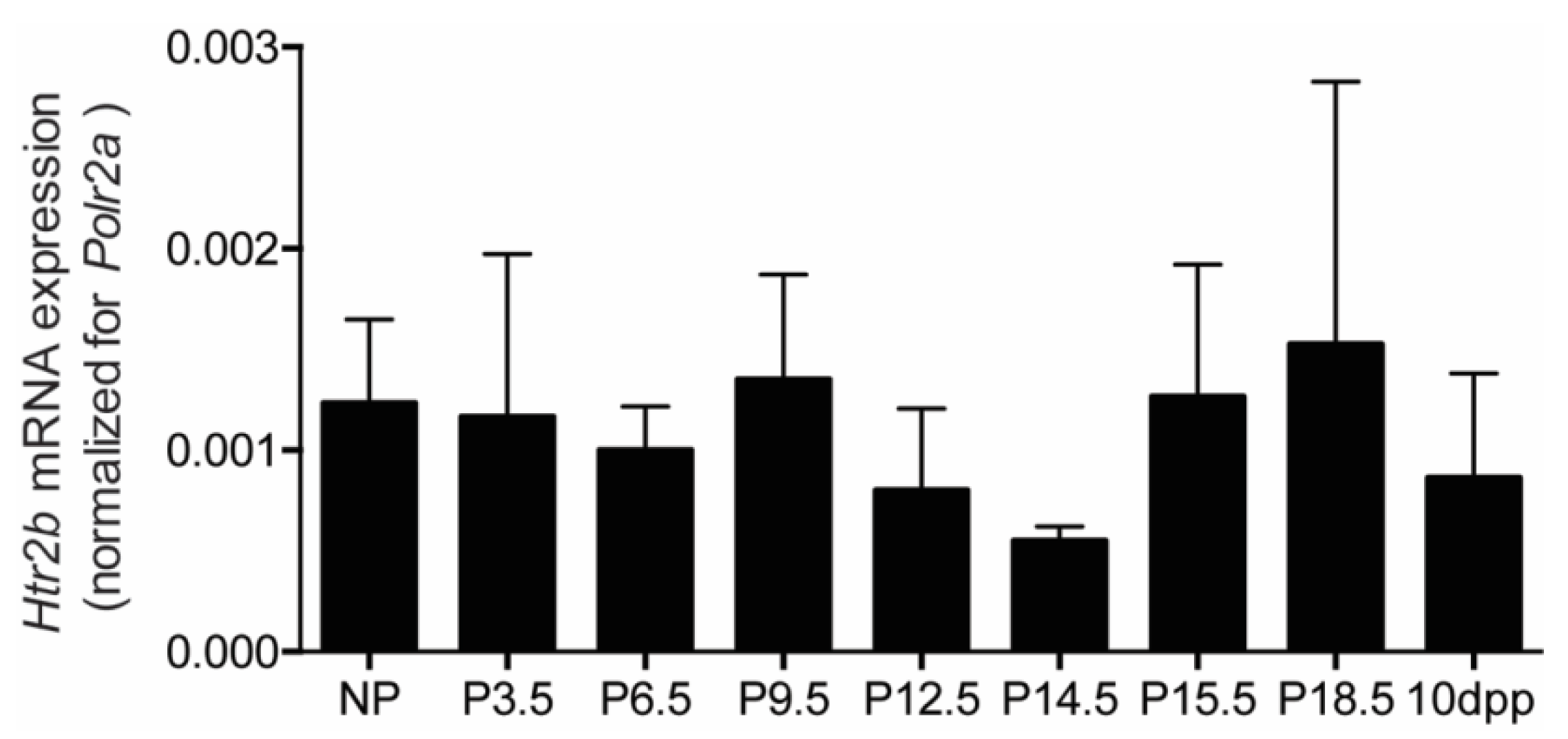 Ijms 23 15816 g007 Ijms 23 15816 g007