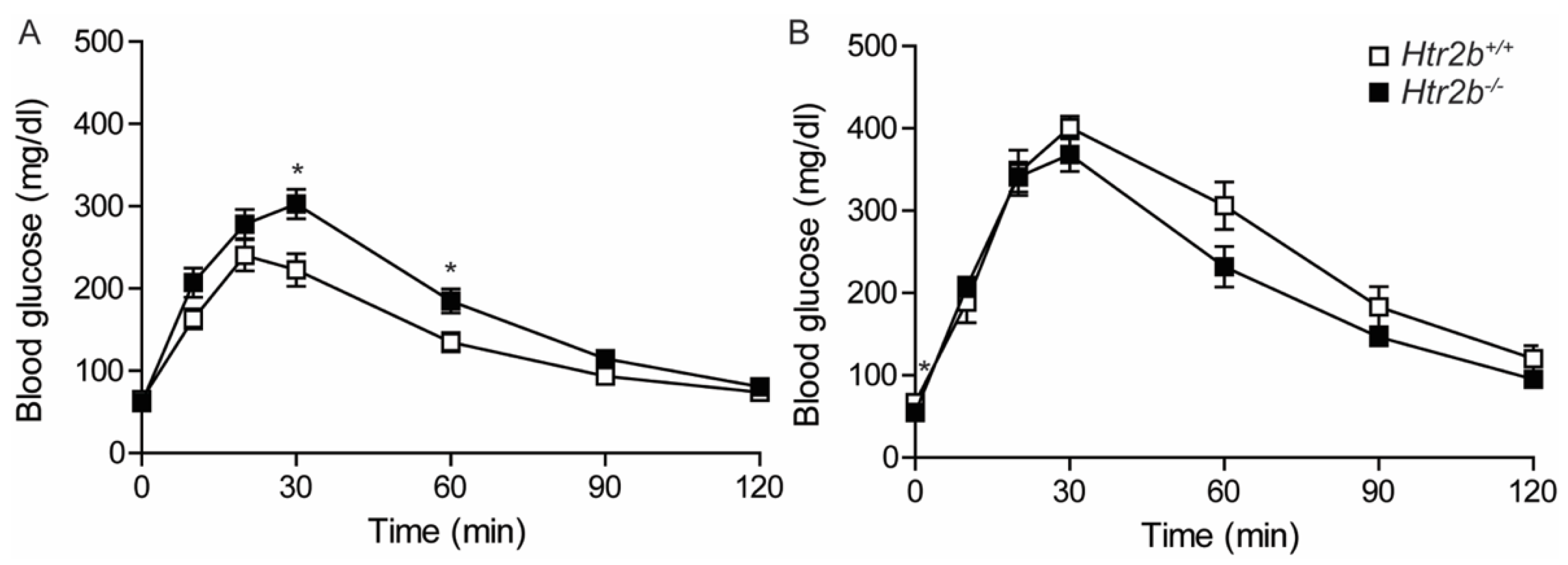 Ijms 23 15816 g011 Ijms 23 15816 g011