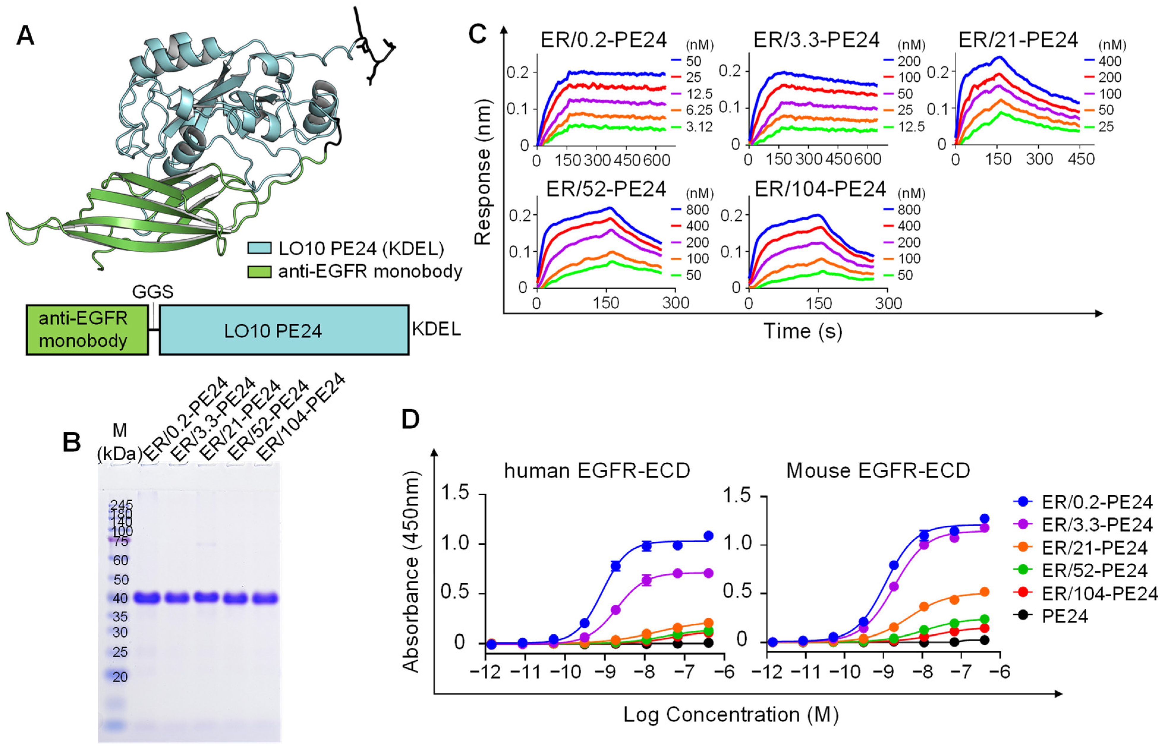 Ijms 23 15820 g001 Ijms 23 15820 g001