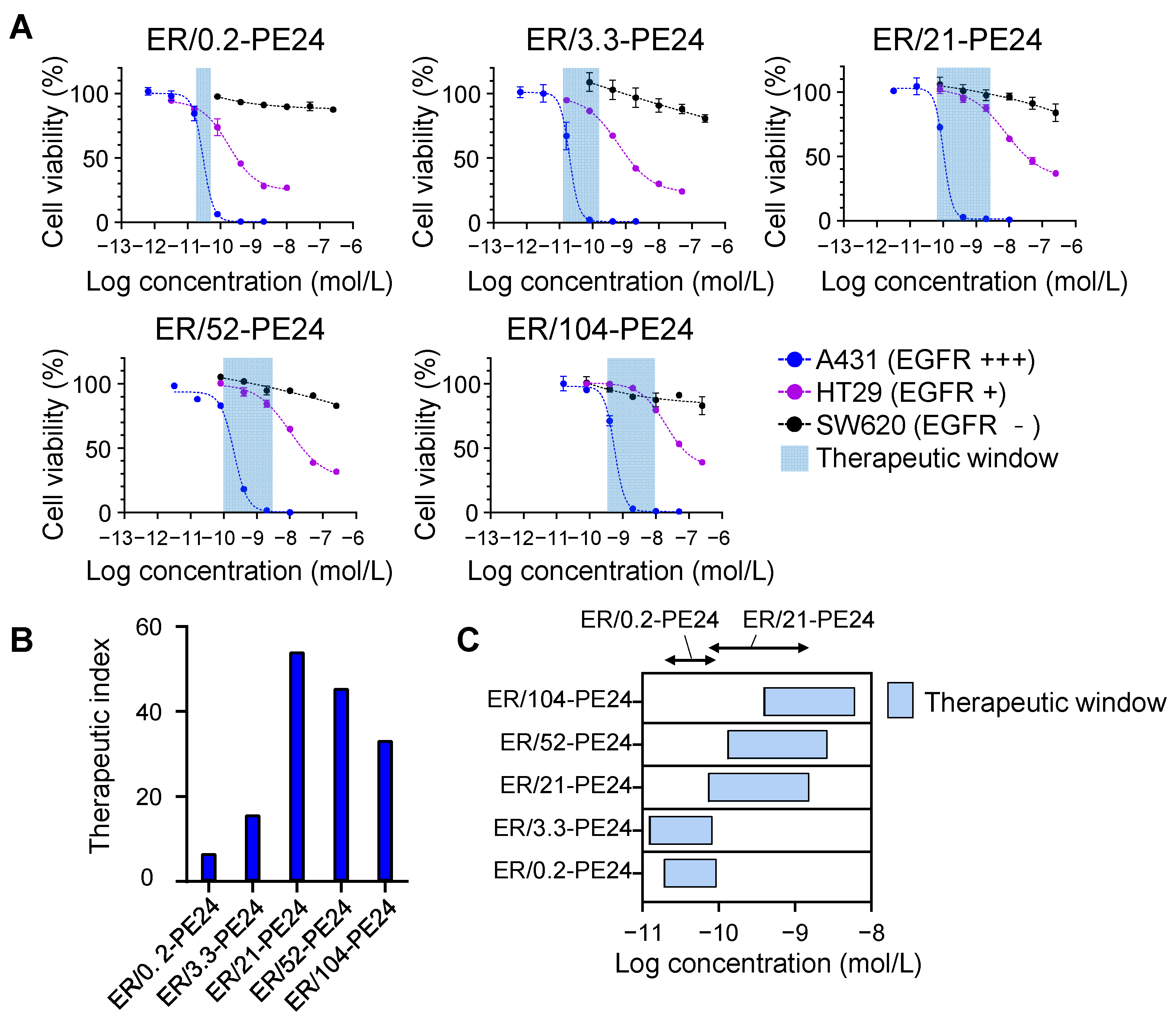 IJMS Free FullText Expanding the Therapeutic Window of EGFR