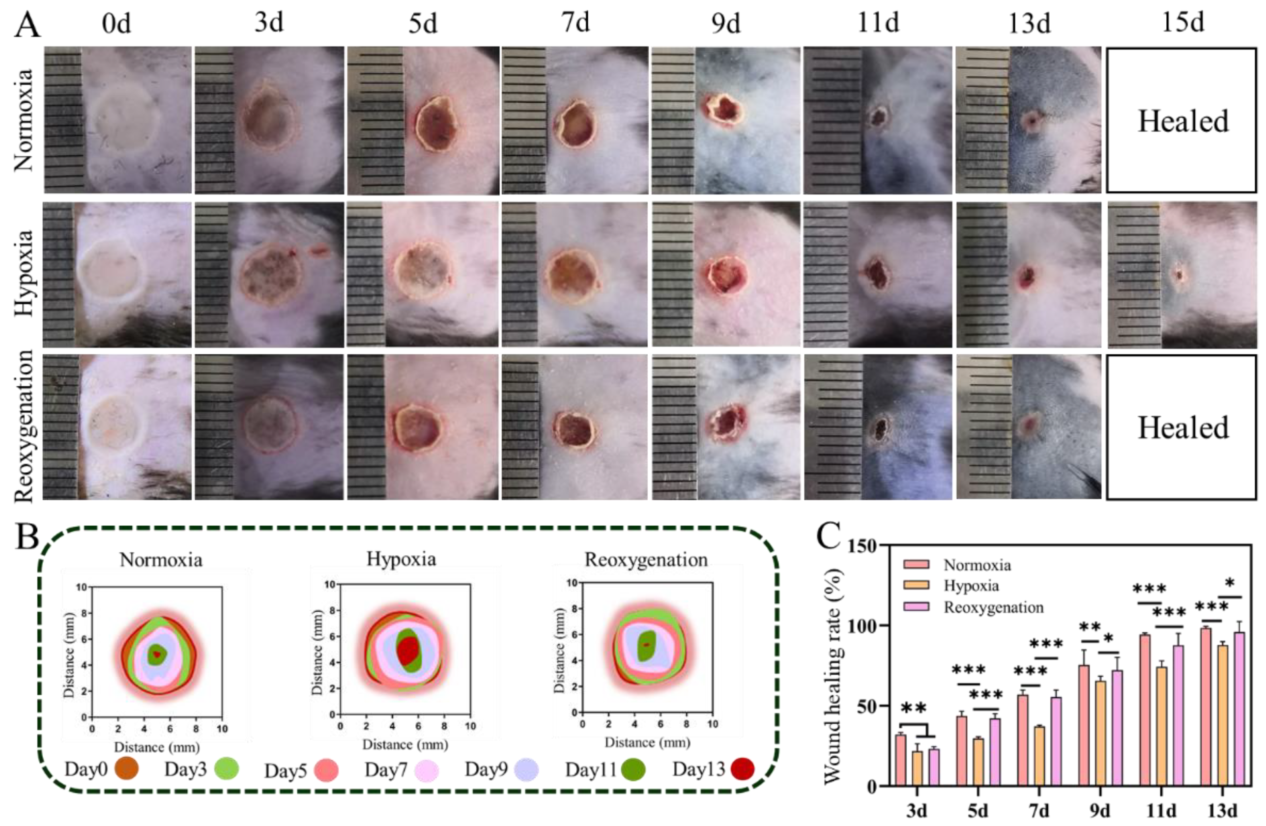Ijms 23 15832 g007 Ijms 23 15832 g007