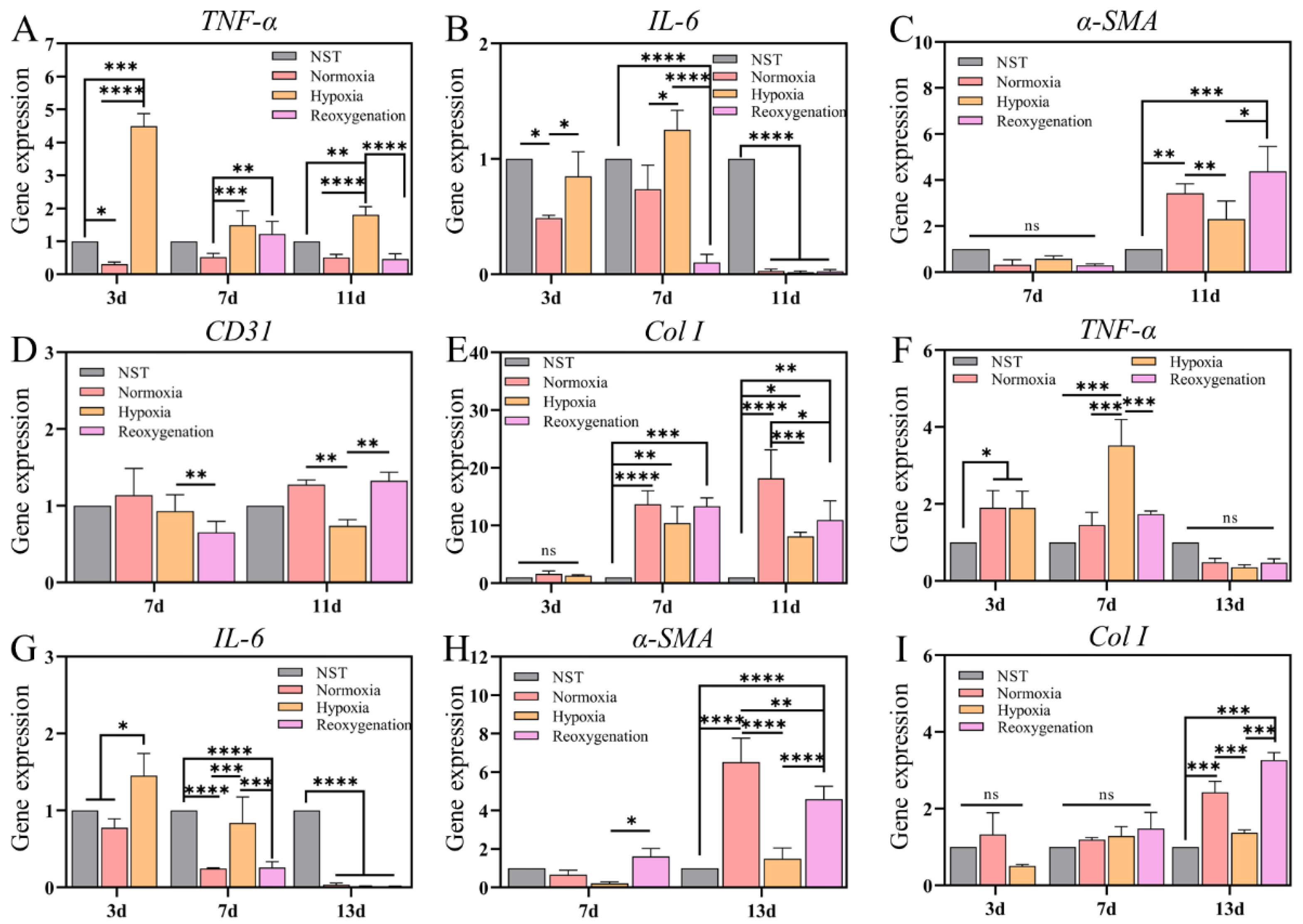 Ijms 23 15832 g009 Ijms 23 15832 g009
