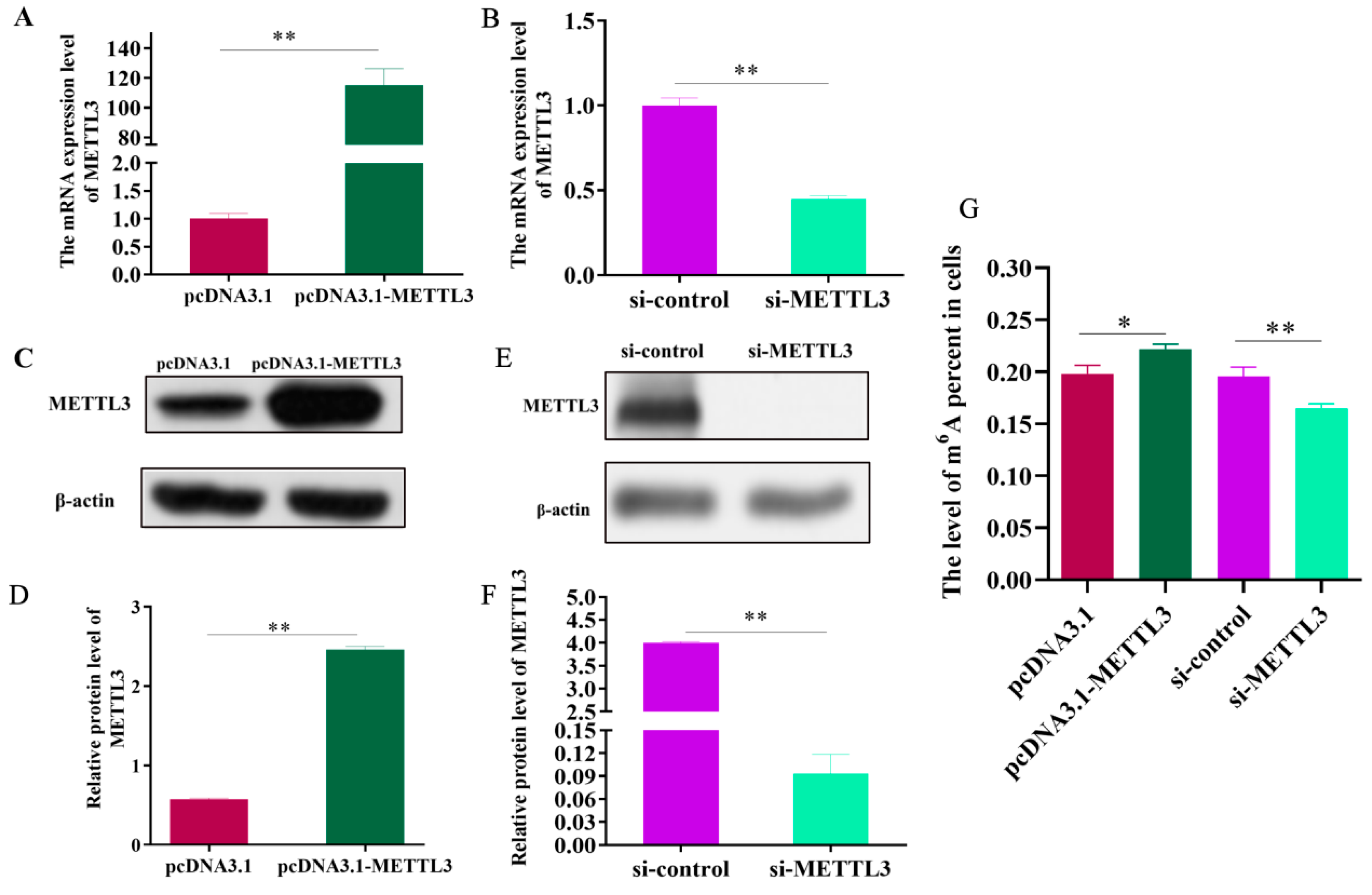 Ijms 23 15833 g002 Ijms 23 15833 g002