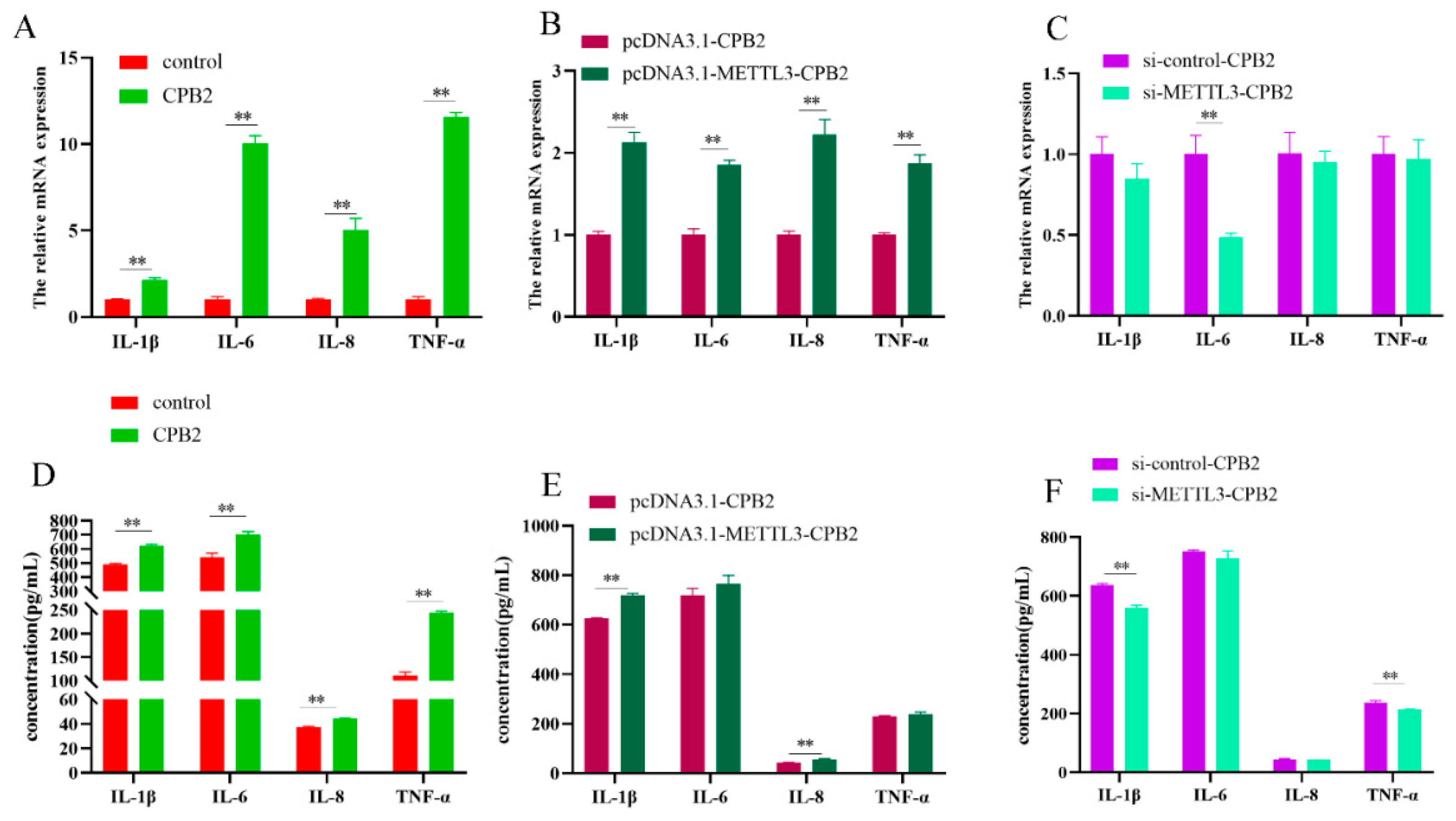 Ijms 23 15833 g003 Ijms 23 15833 g003
