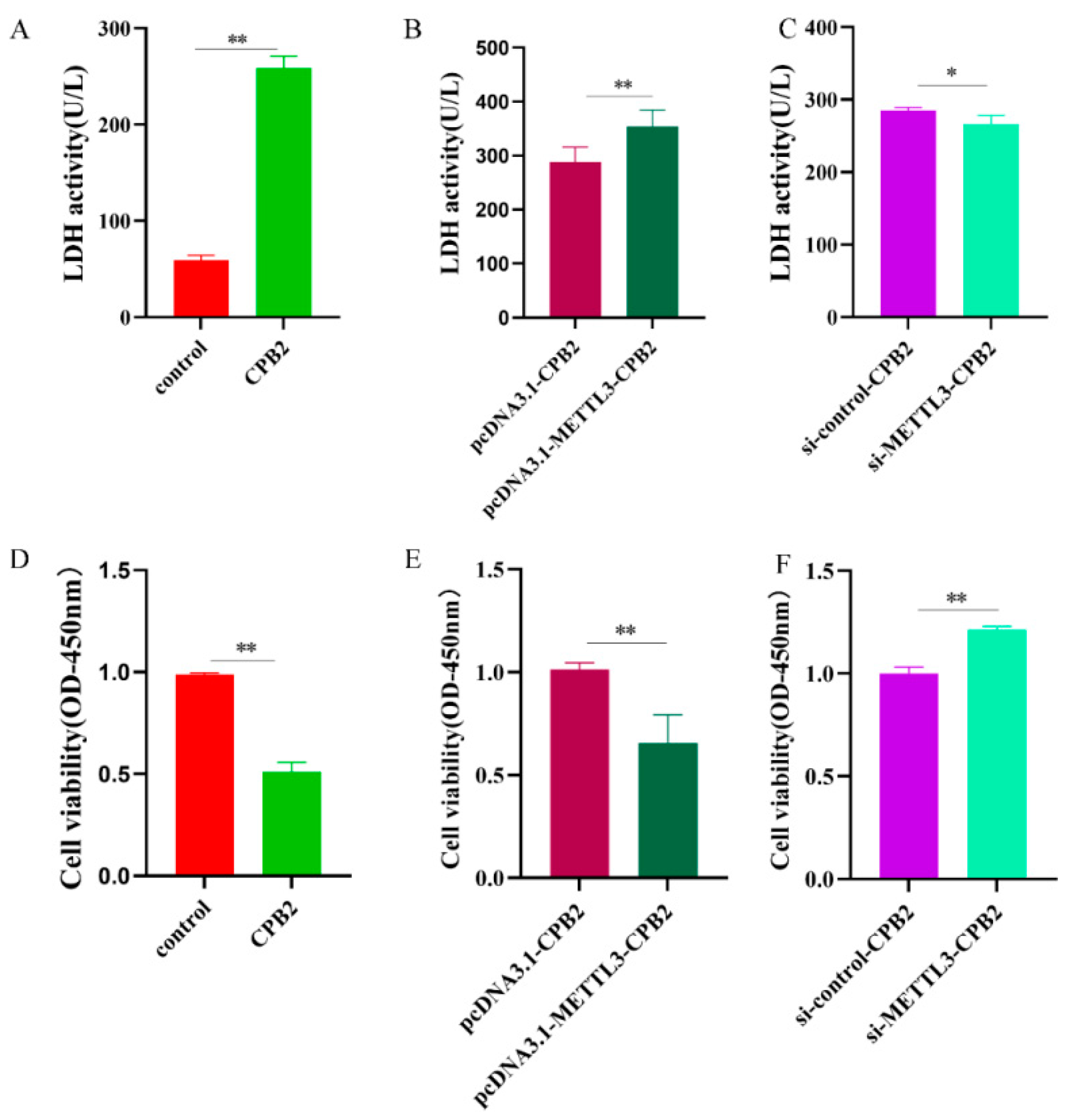 Ijms 23 15833 g004 Ijms 23 15833 g004