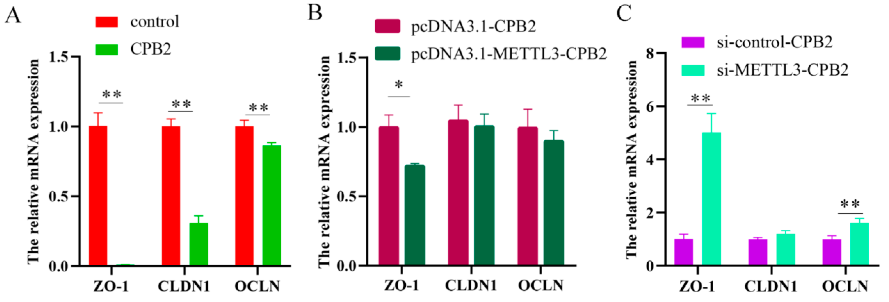 Ijms 23 15833 g005 Ijms 23 15833 g005