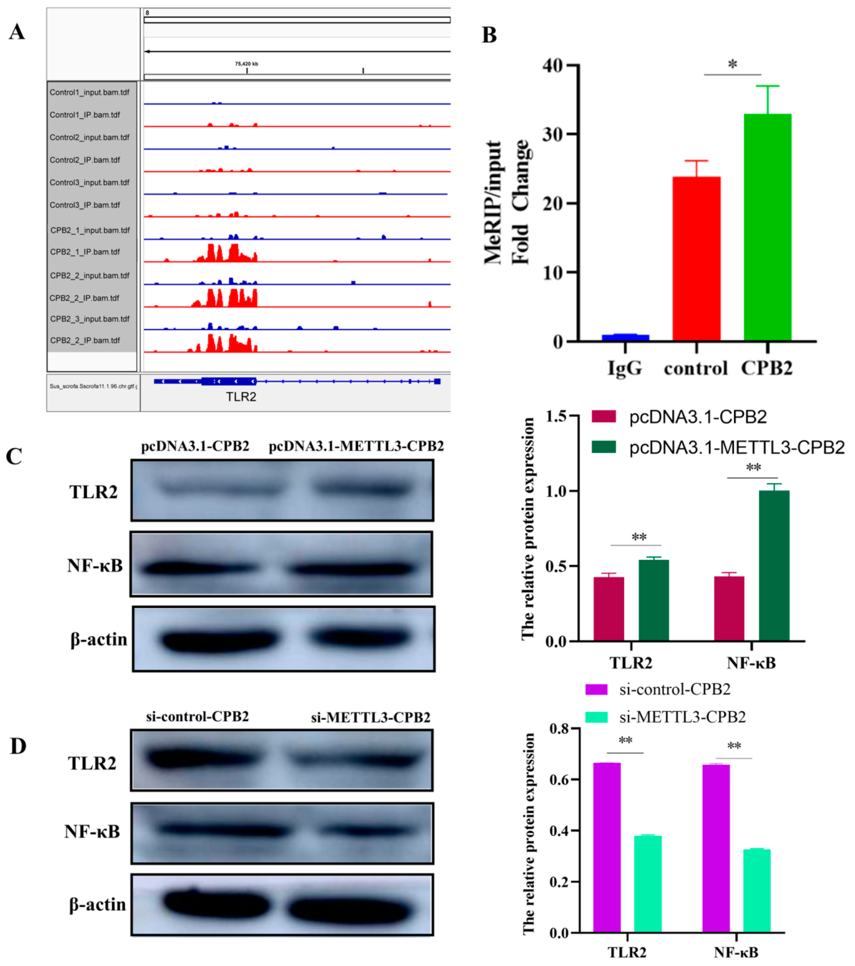 Ijms 23 15833 g007 Ijms 23 15833 g007