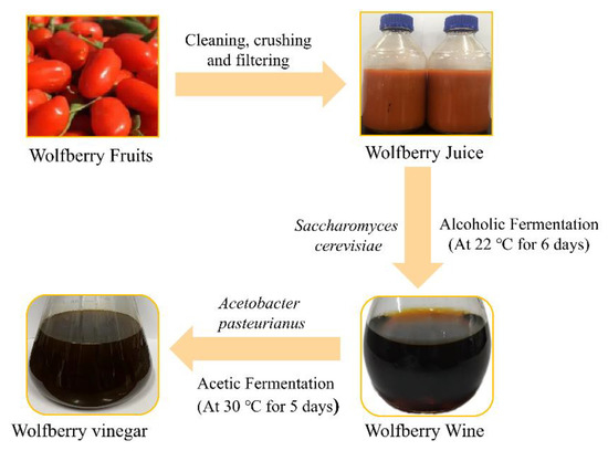 とまと Changes in the Phytochemical and Bioactive Compounds and the