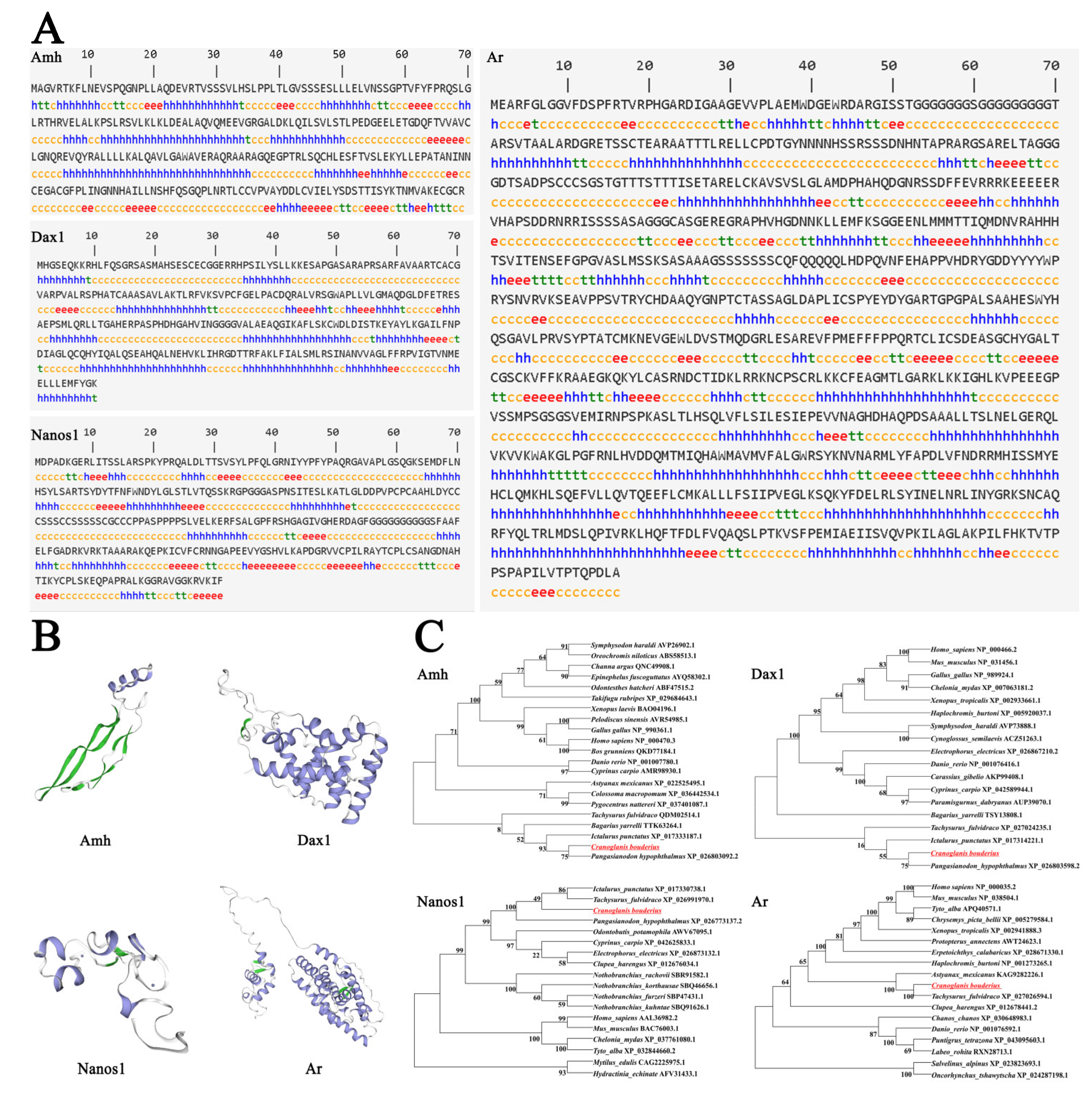 Ijms 23 15840 g006 Ijms 23 15840 g006