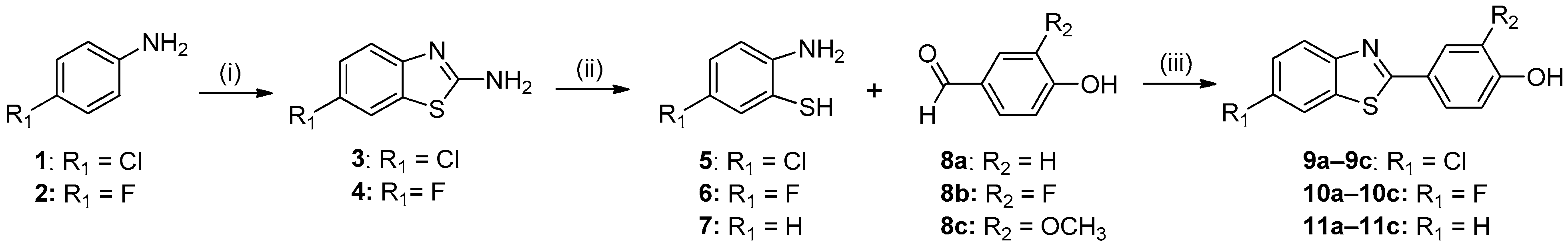 Ijms 23 15843 sch001