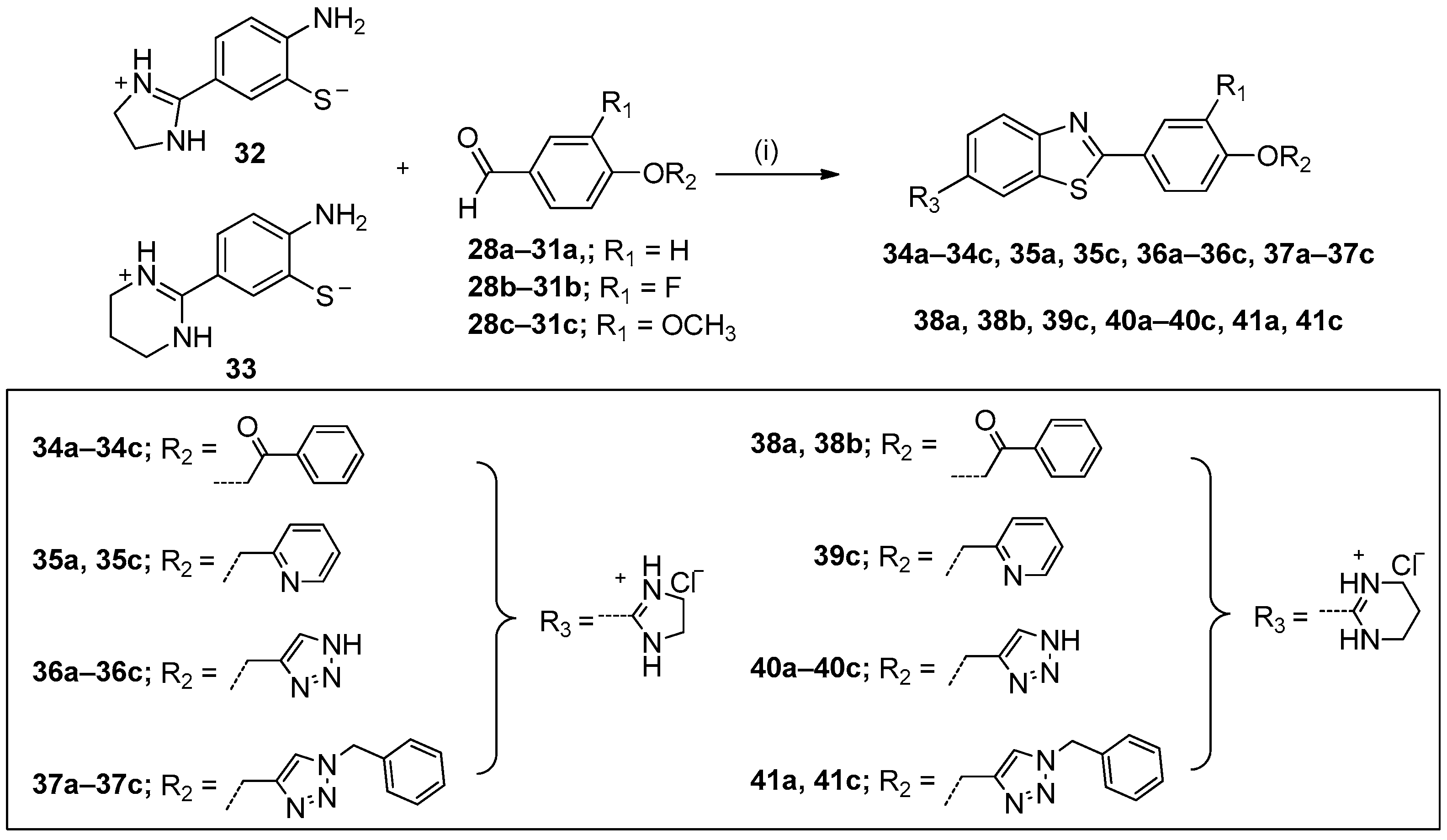 Ijms 23 15843 sch004