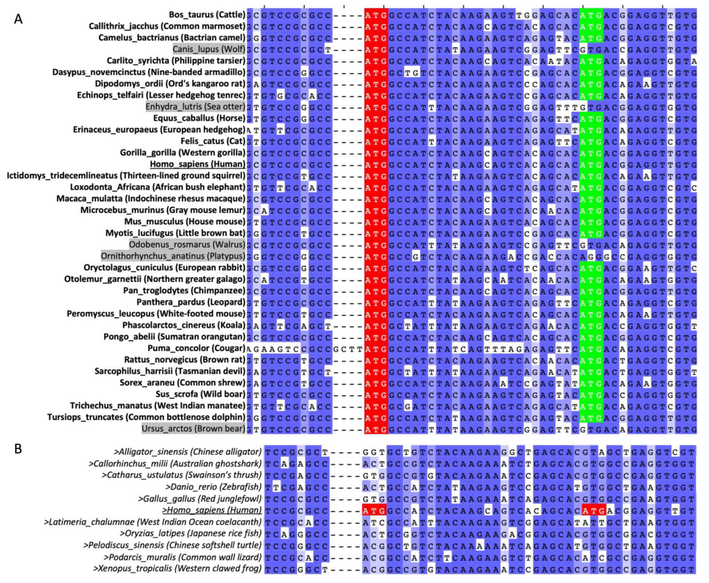 Ijms 23 15844 g004 Ijms 23 15844 g004