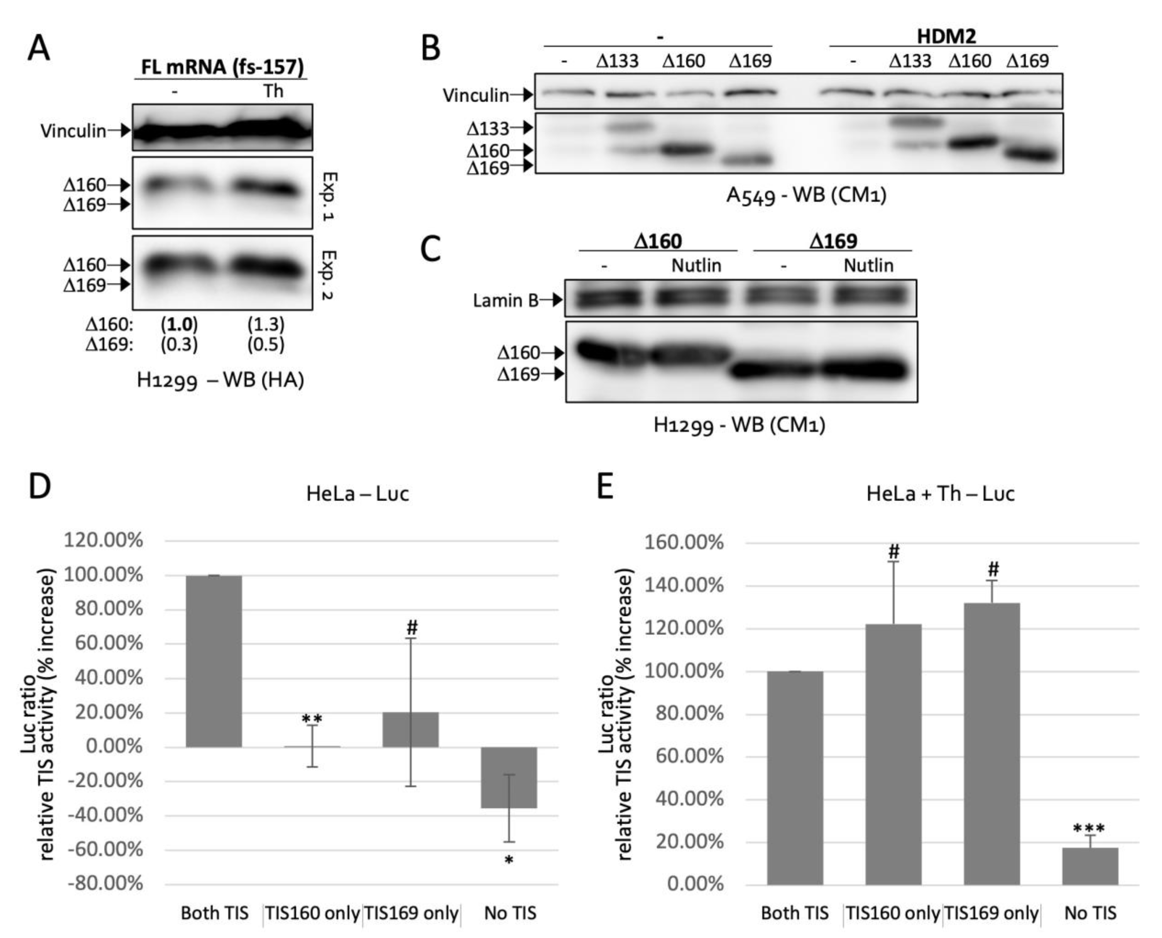 Ijms 23 15844 g005 Ijms 23 15844 g005