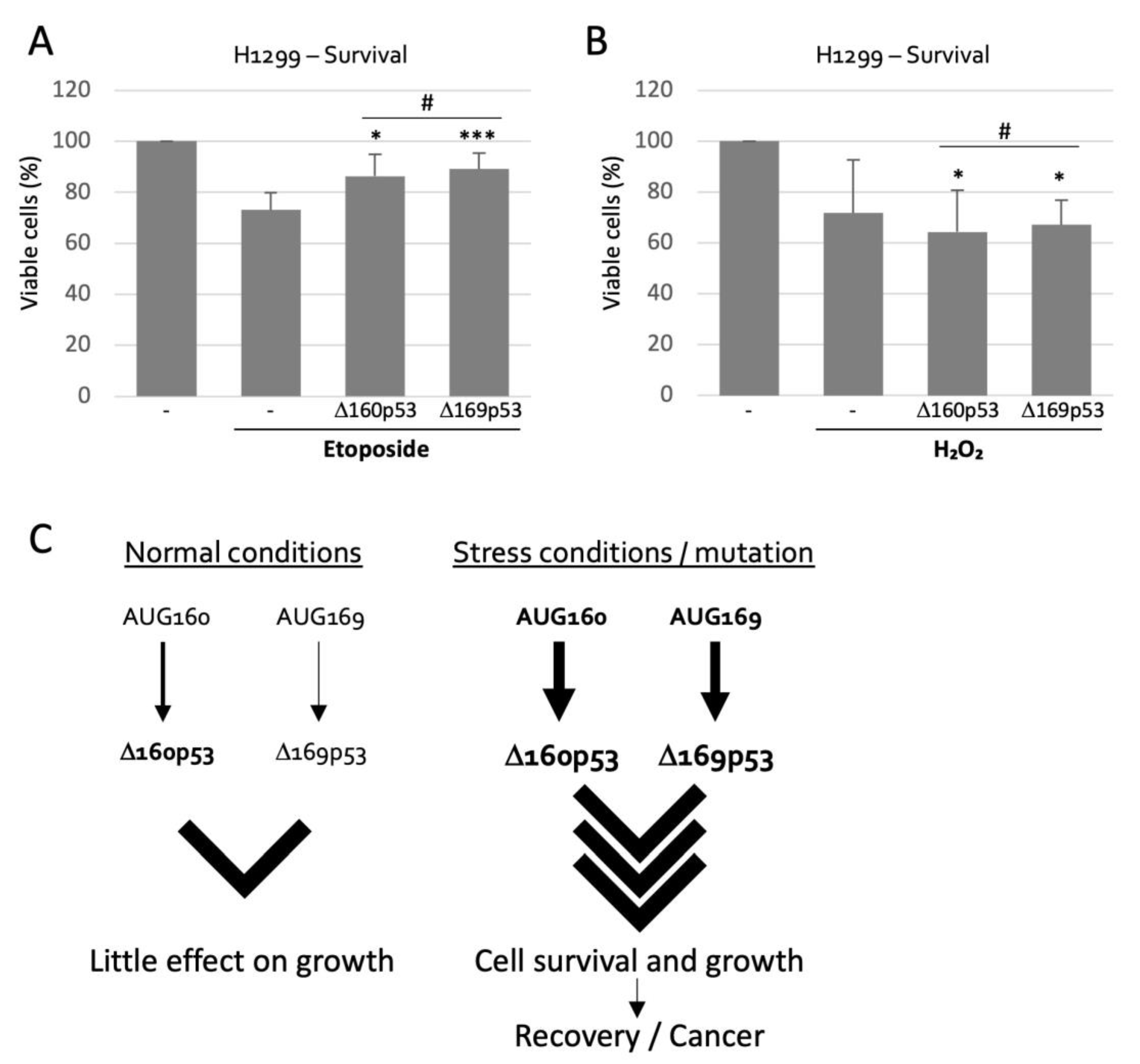Ijms 23 15844 g006 Ijms 23 15844 g006